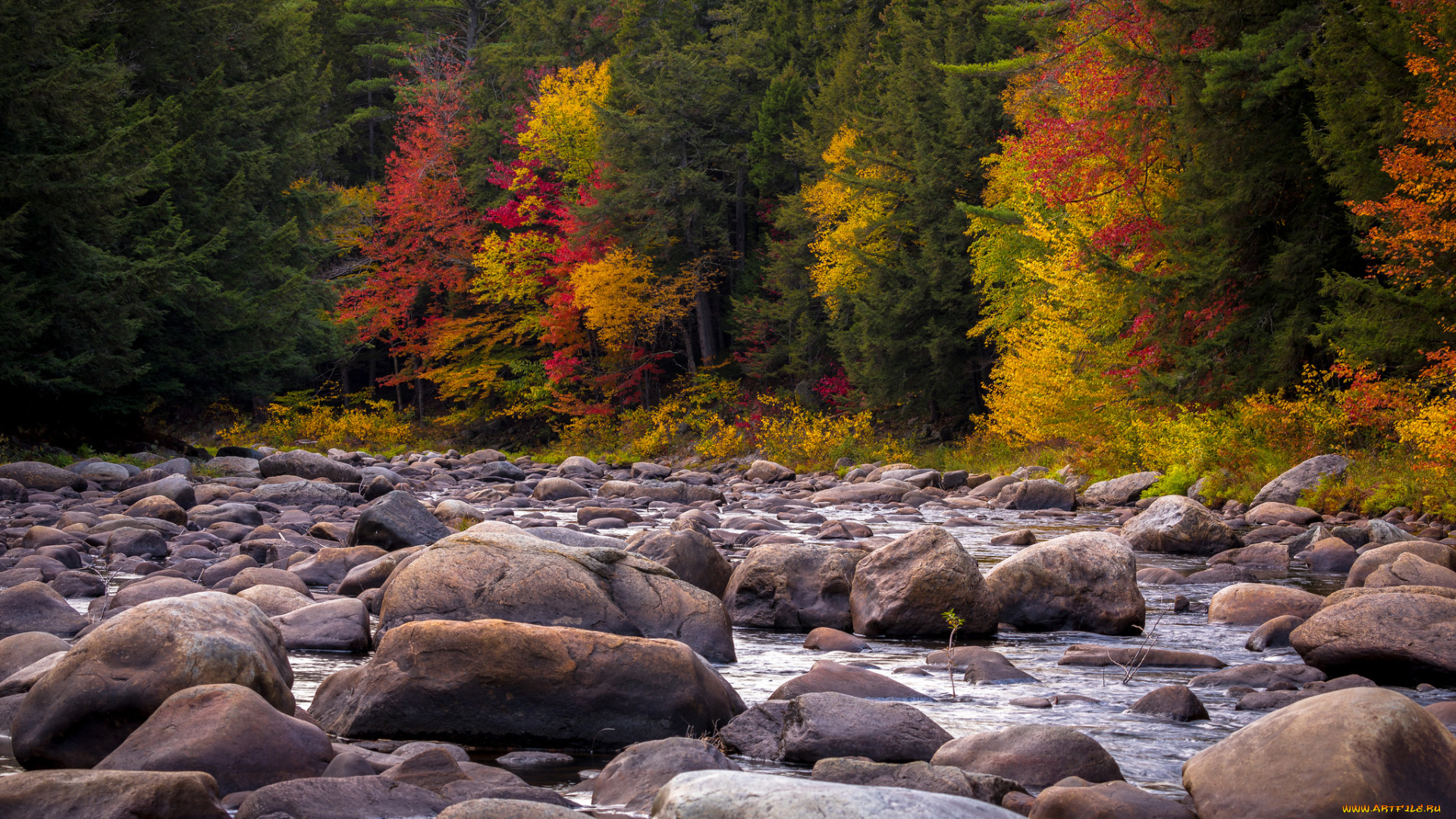 природа, реки, озера, простор