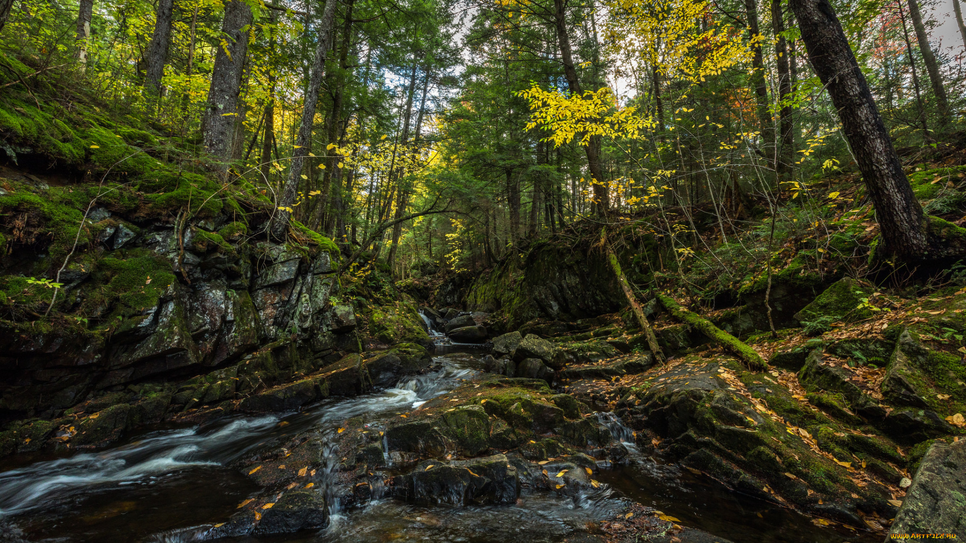 природа, реки, озера, простор