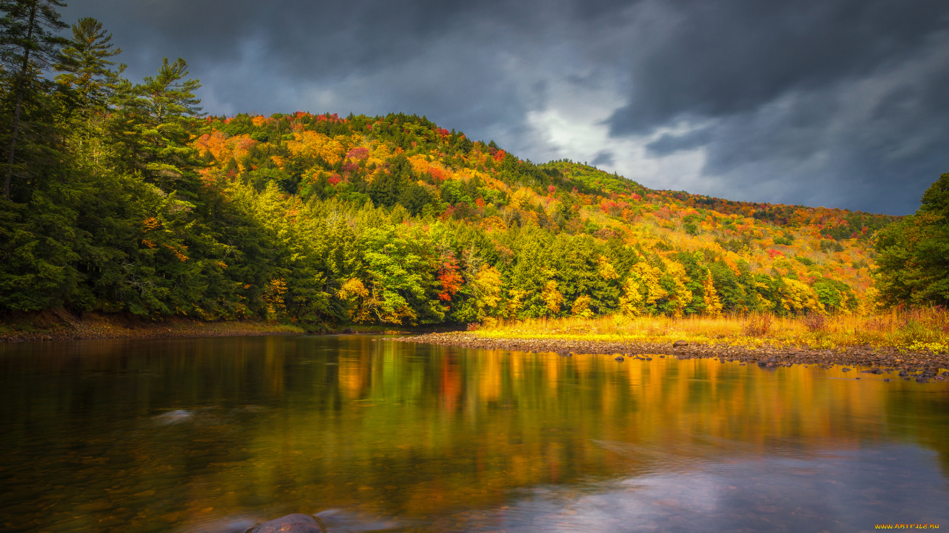 природа, реки, озера, простор