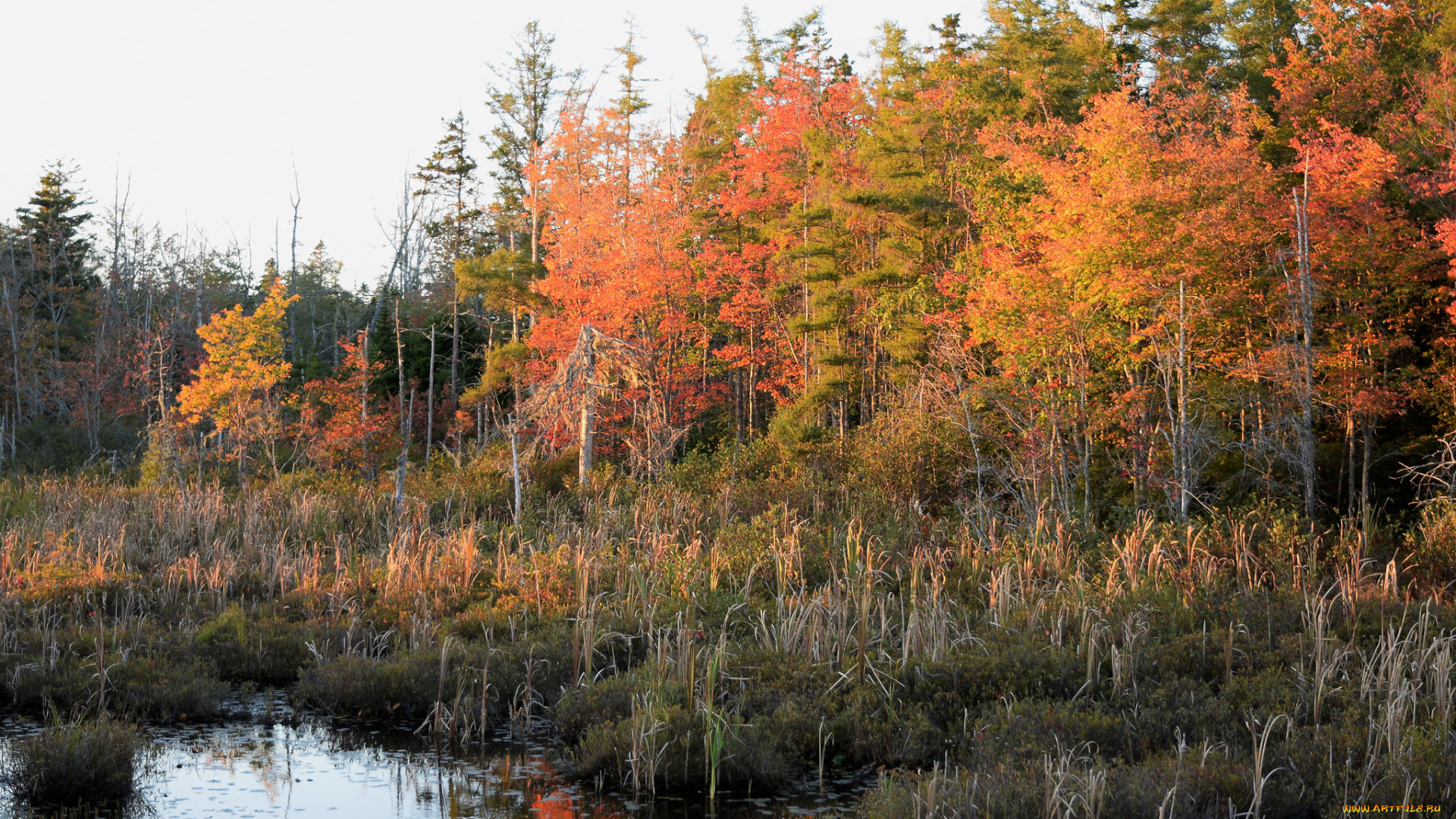 природа, реки, озера, простор
