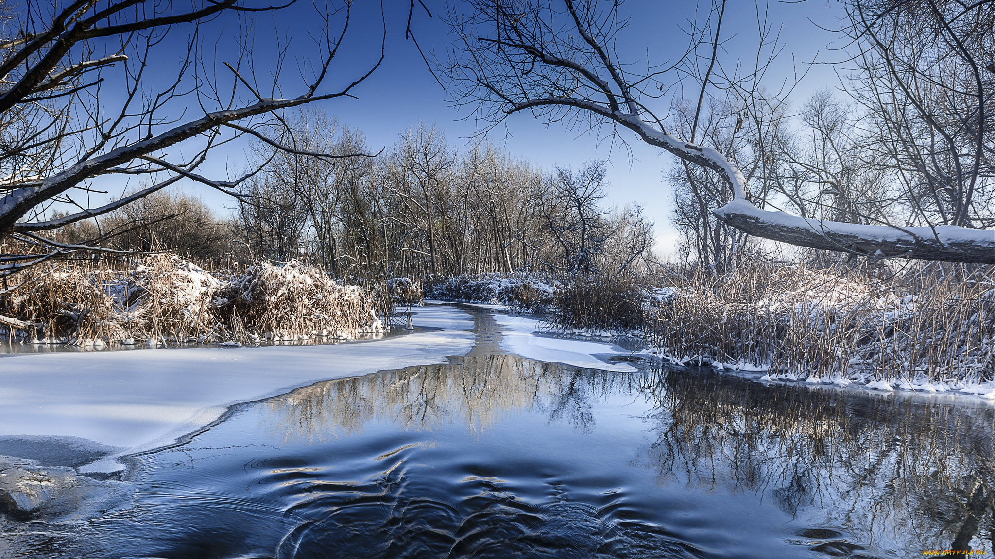 природа, реки, озера, простор