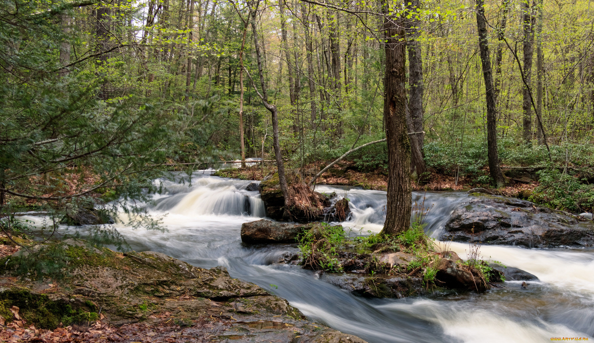 природа, реки, озера, простор
