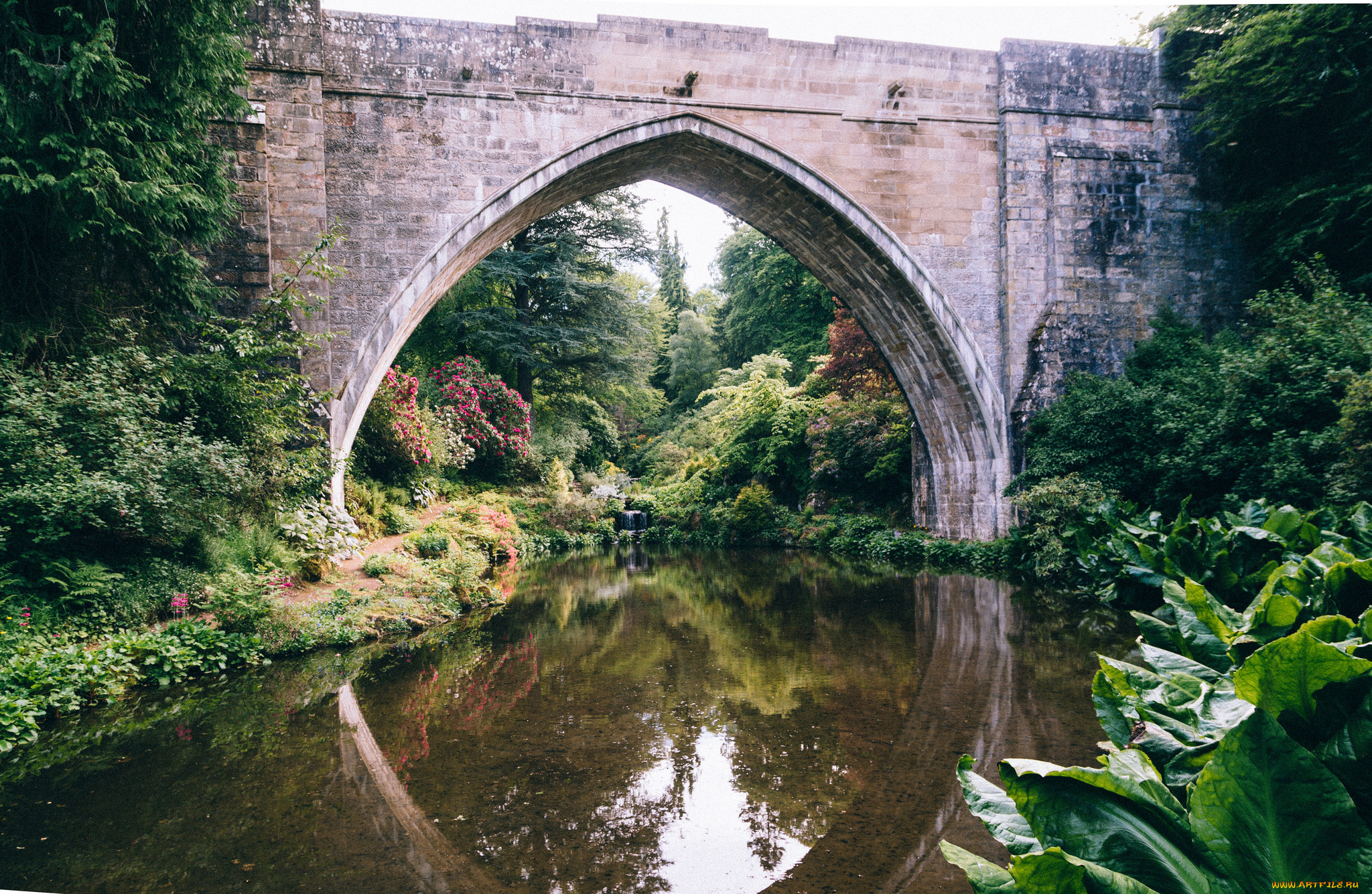 природа, реки, озера, простор