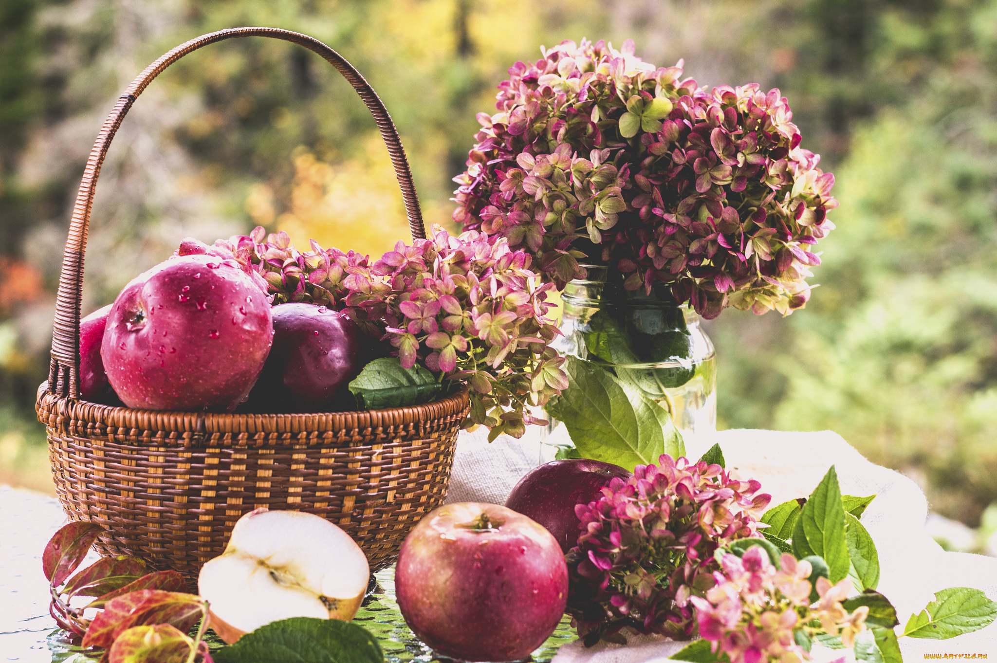 еда, Яблоки, корзина, яблоки, гортензия, цветы