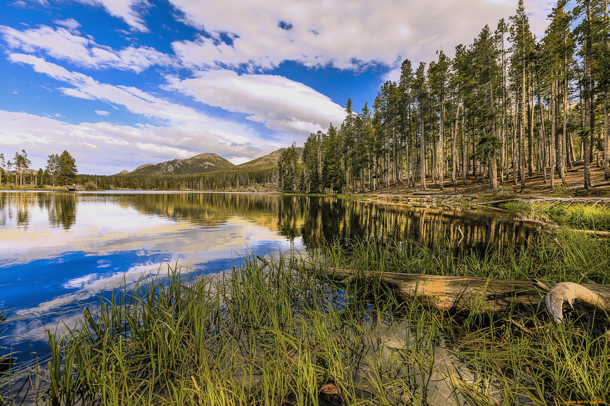 природа, реки, озера, простор