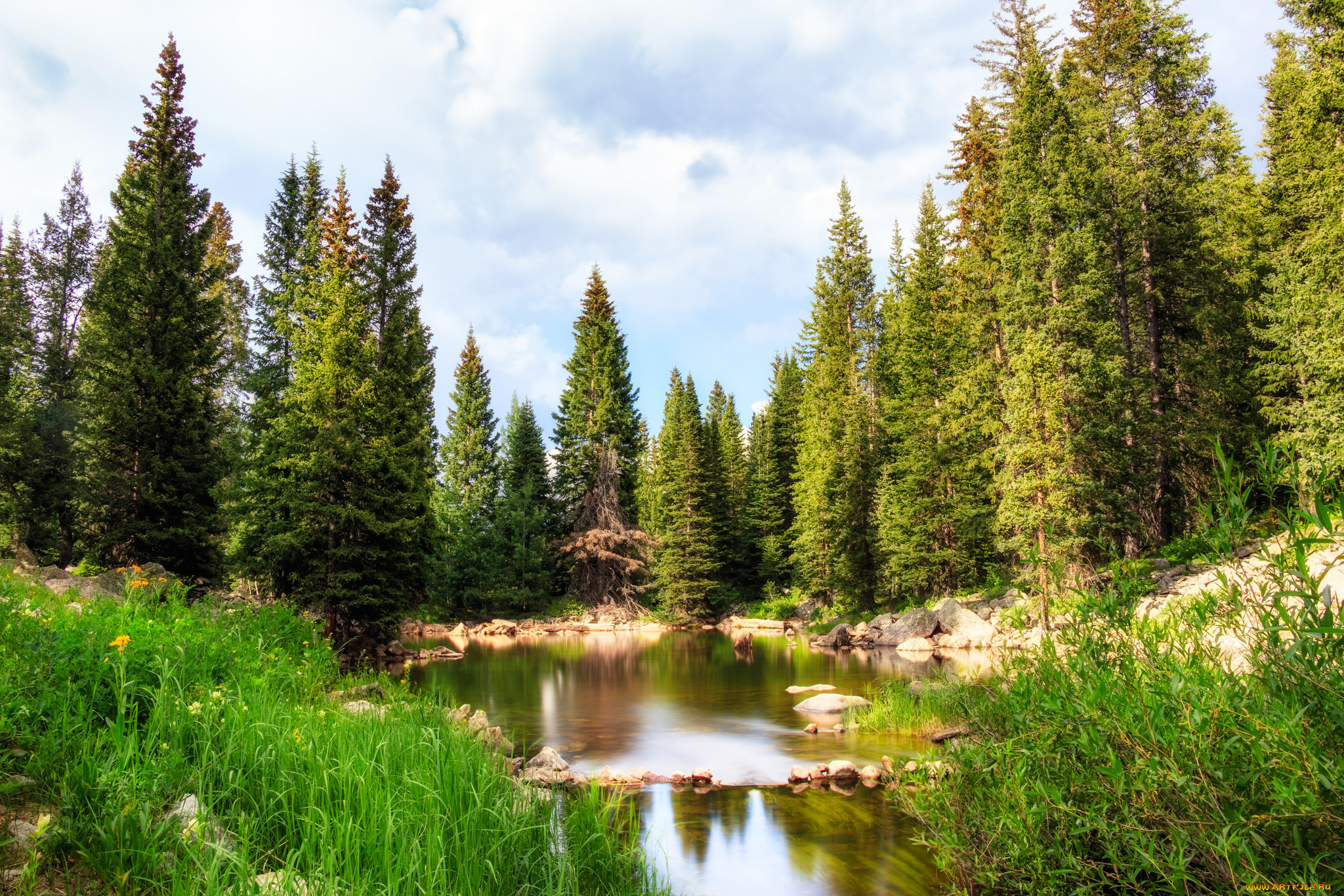 природа, реки, озера, простор
