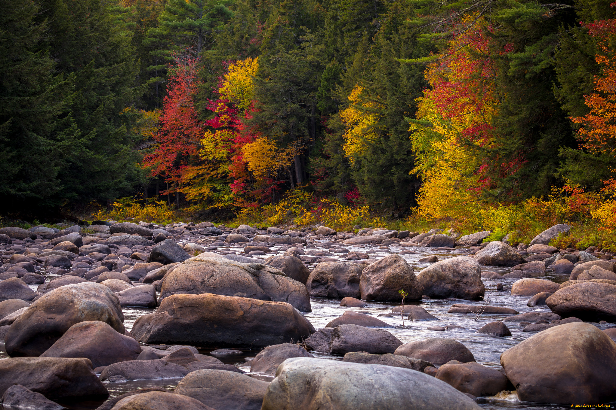 природа, реки, озера, простор