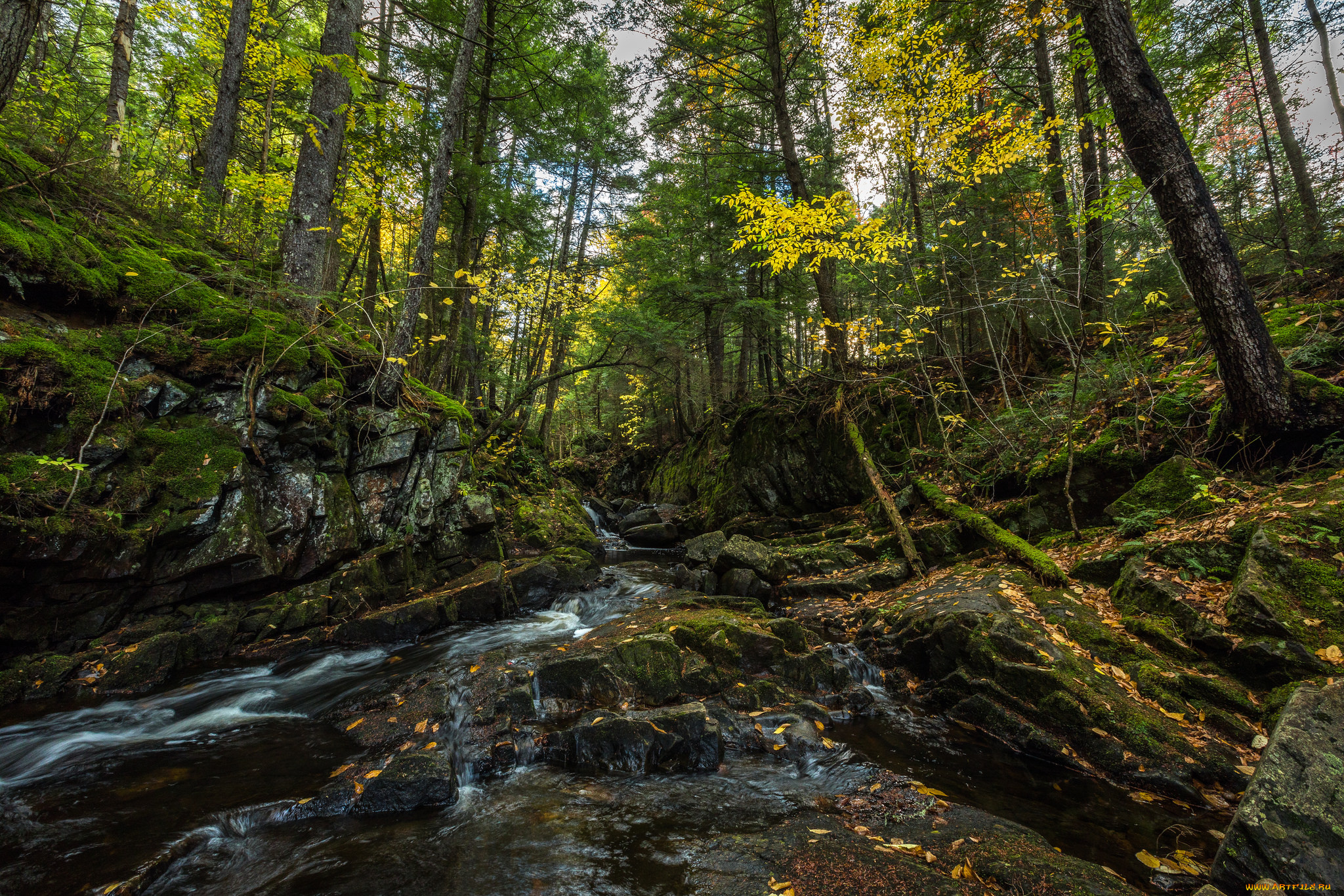 природа, реки, озера, простор