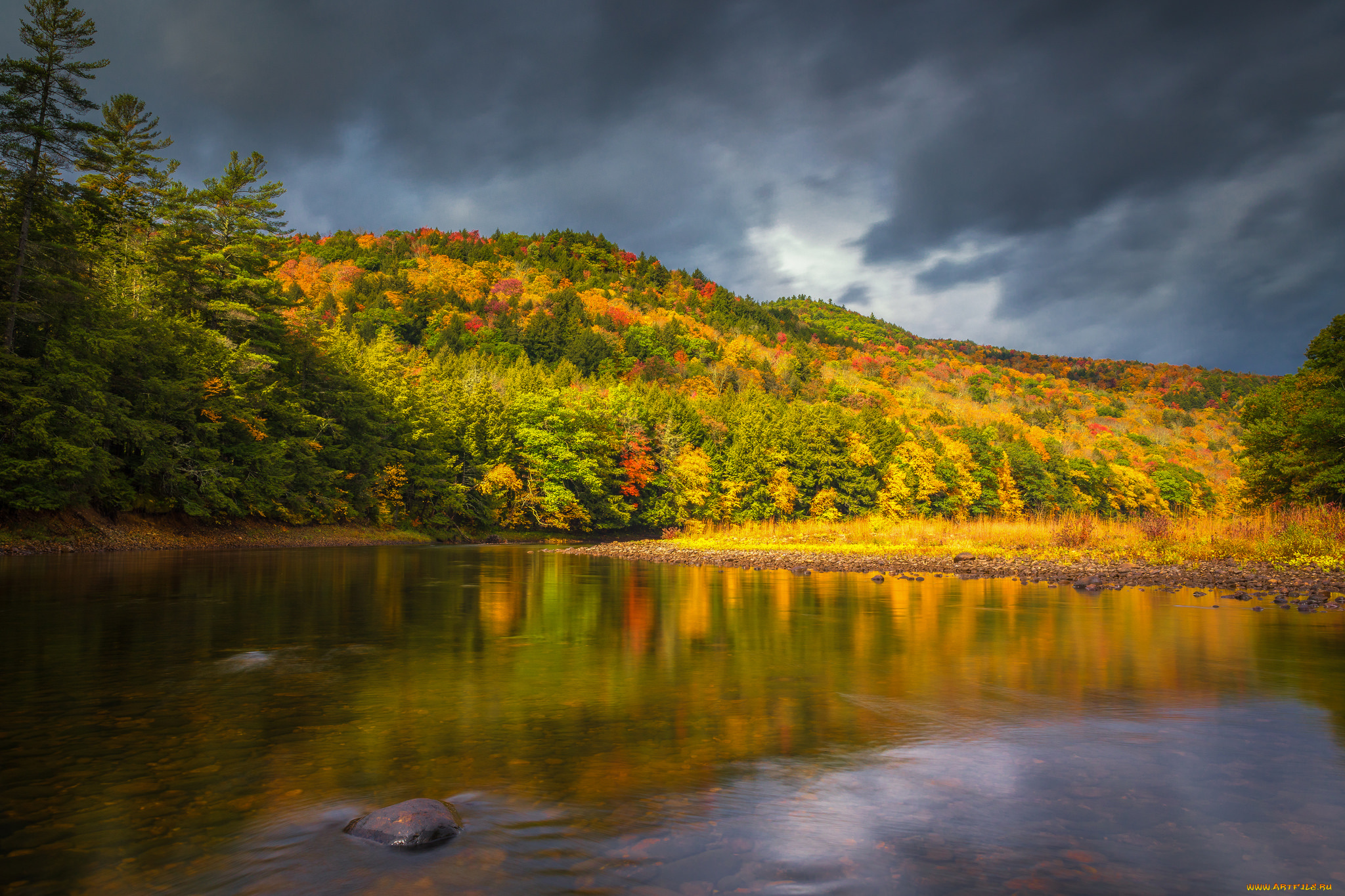 природа, реки, озера, простор
