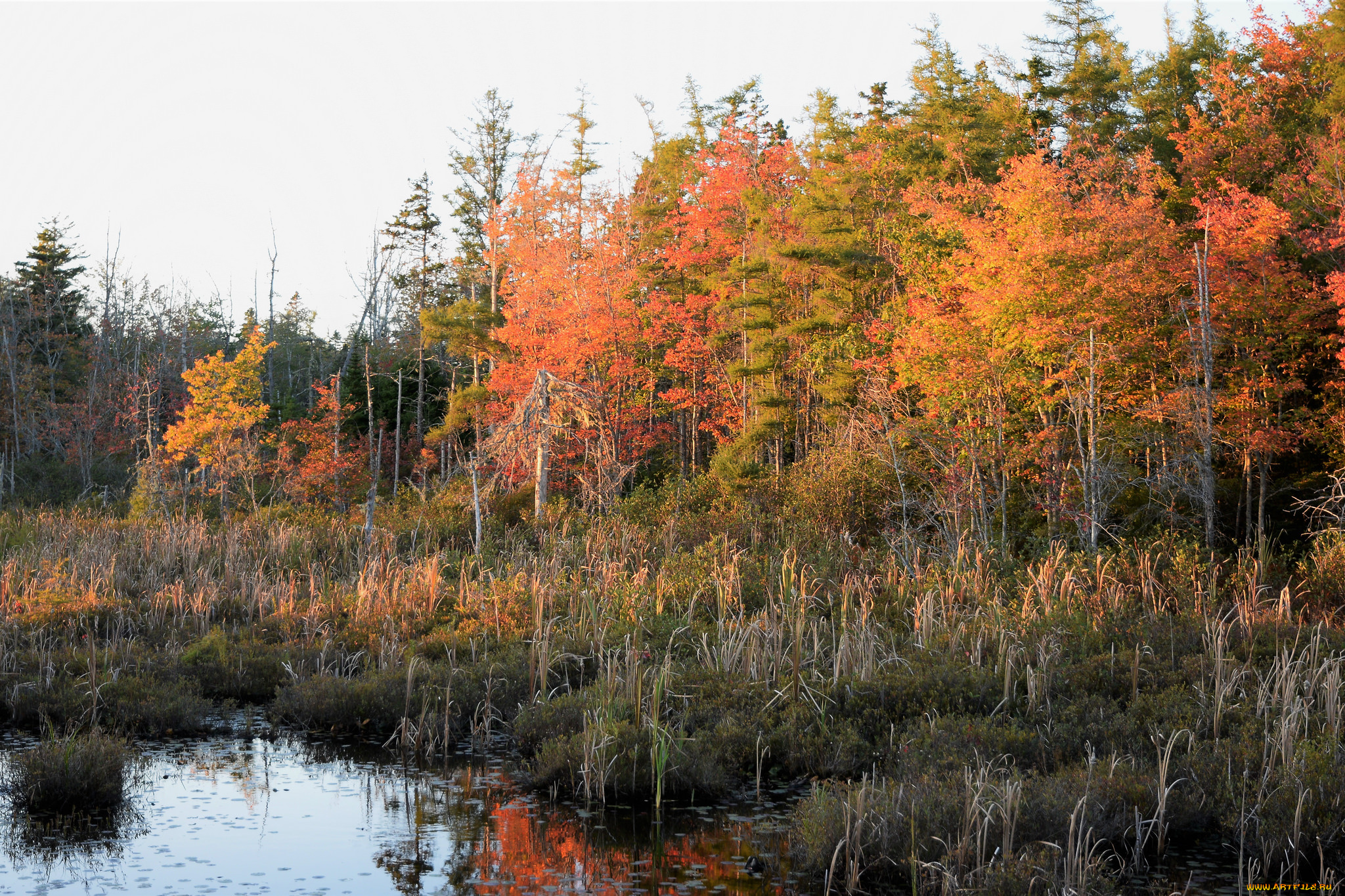 природа, реки, озера, простор