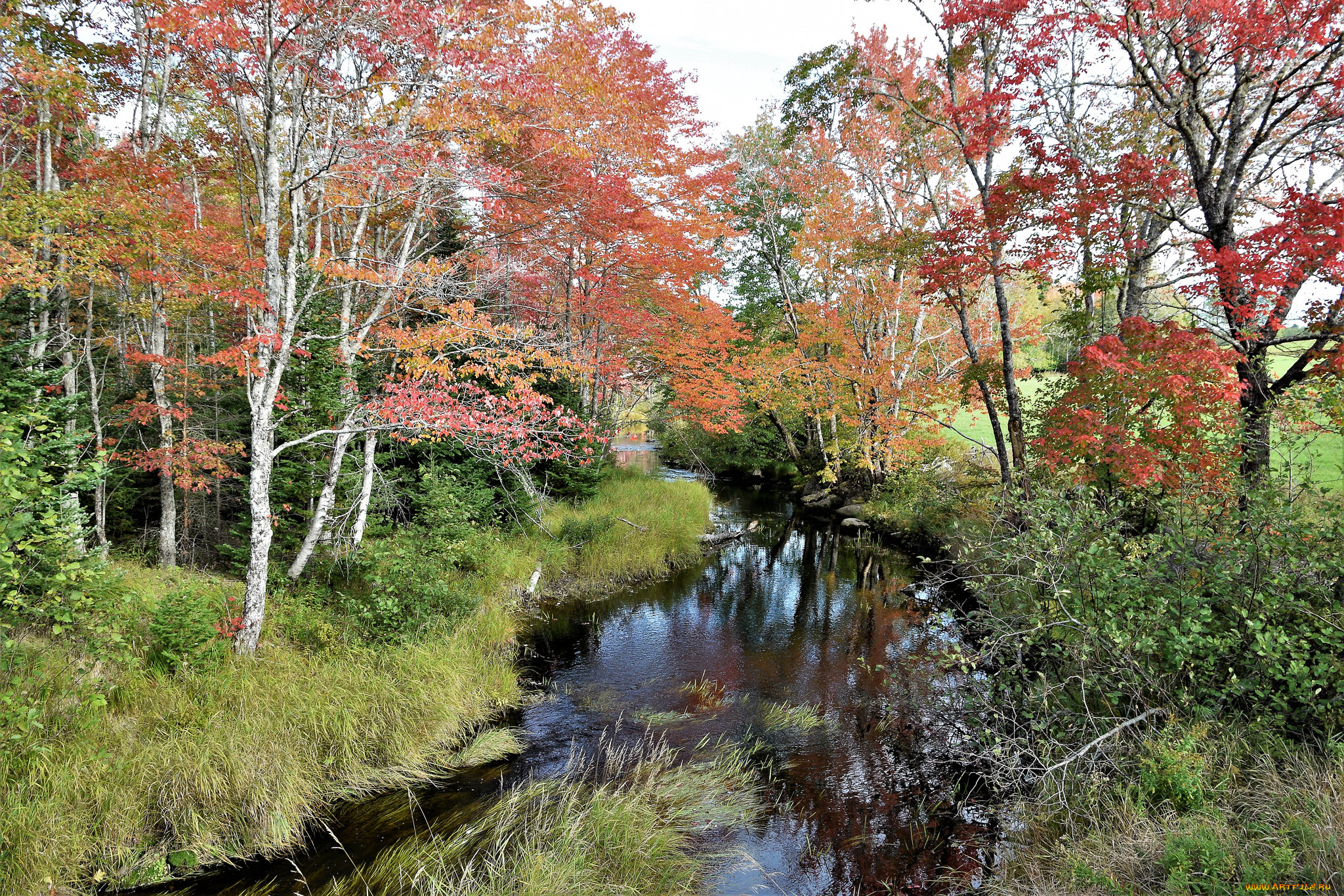 природа, реки, озера, простор