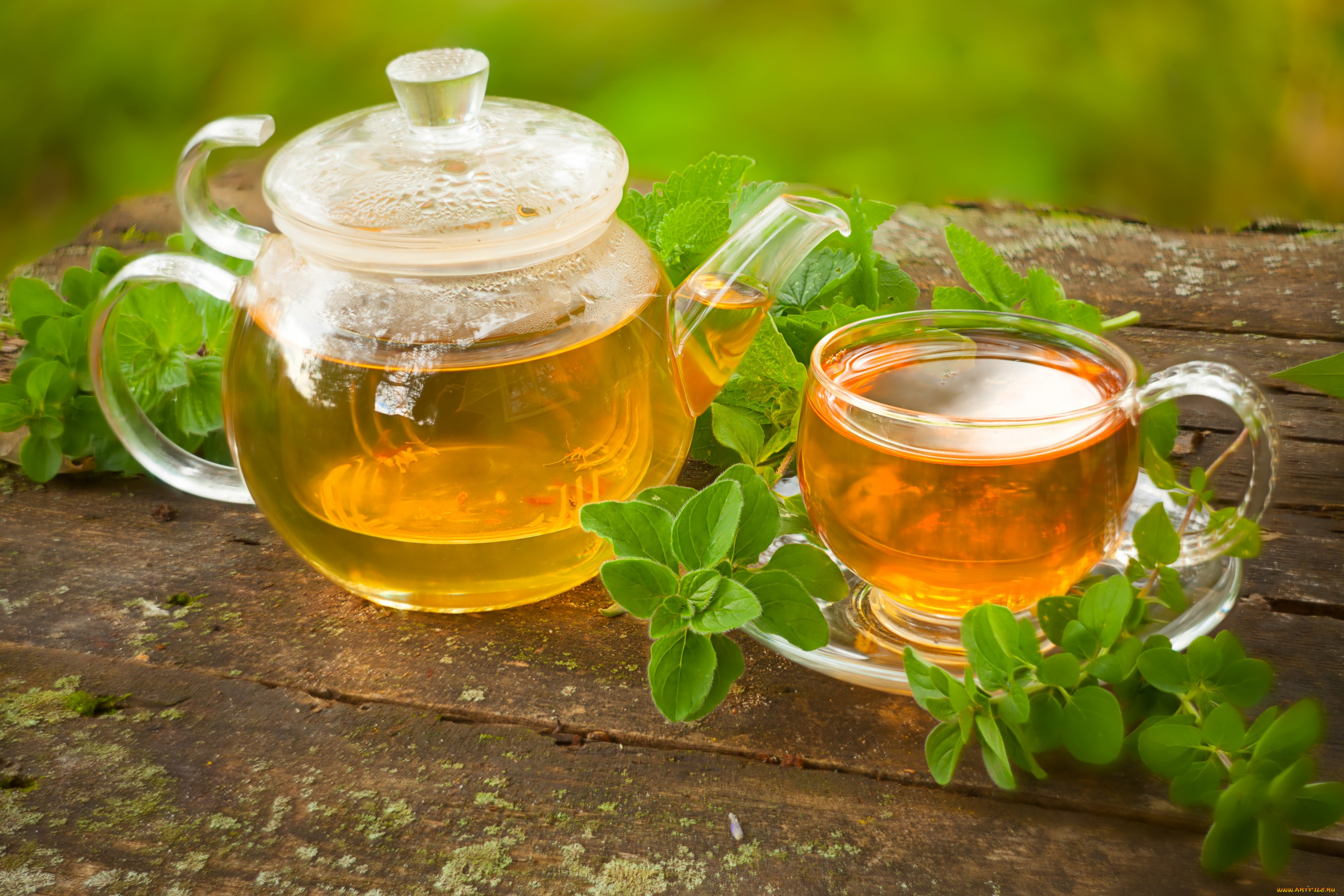 еда, напитки, , Чай, чай, напиток, мята