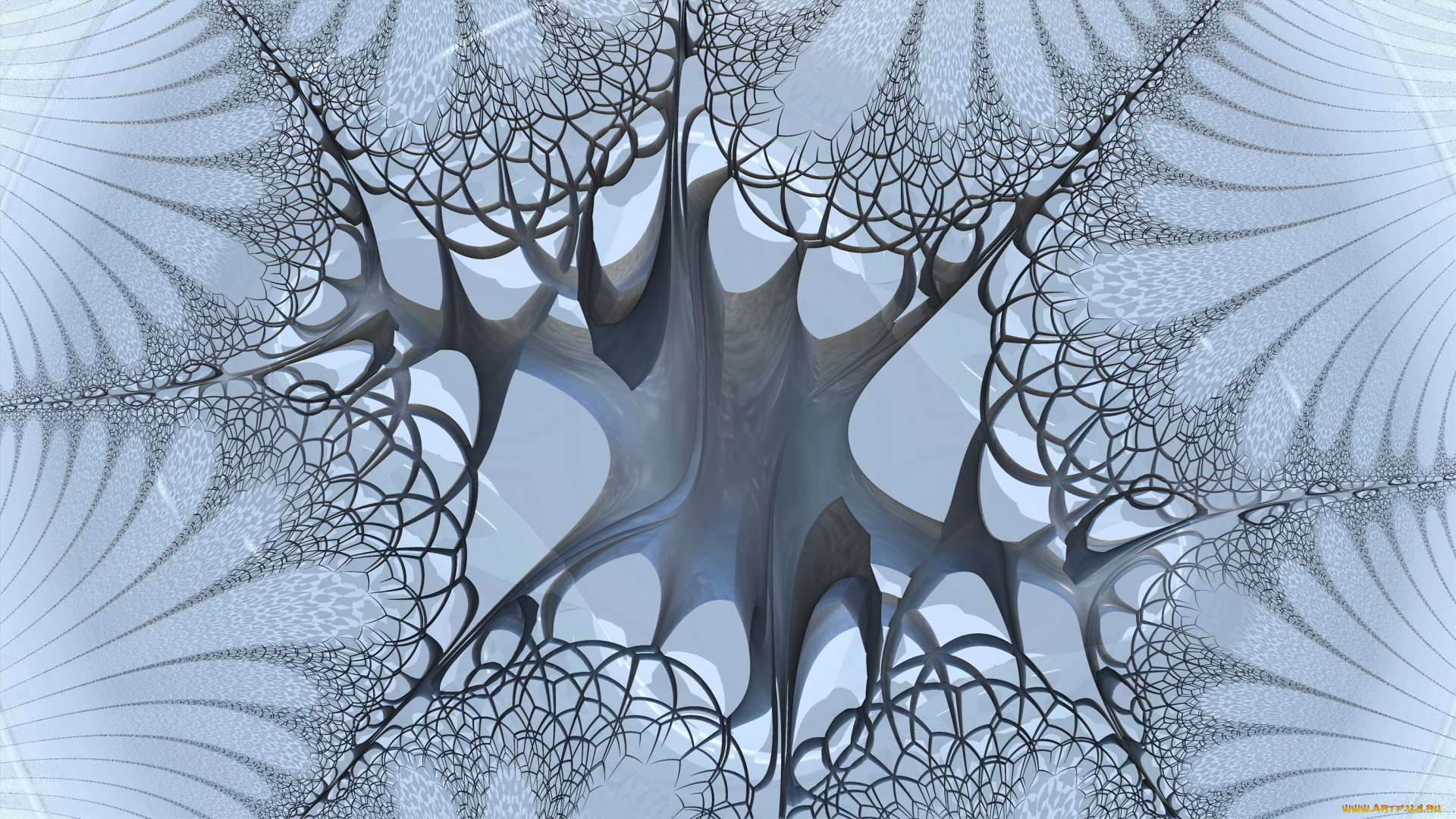 3д, графика, фракталы, , fractal, узор, фон, цвет