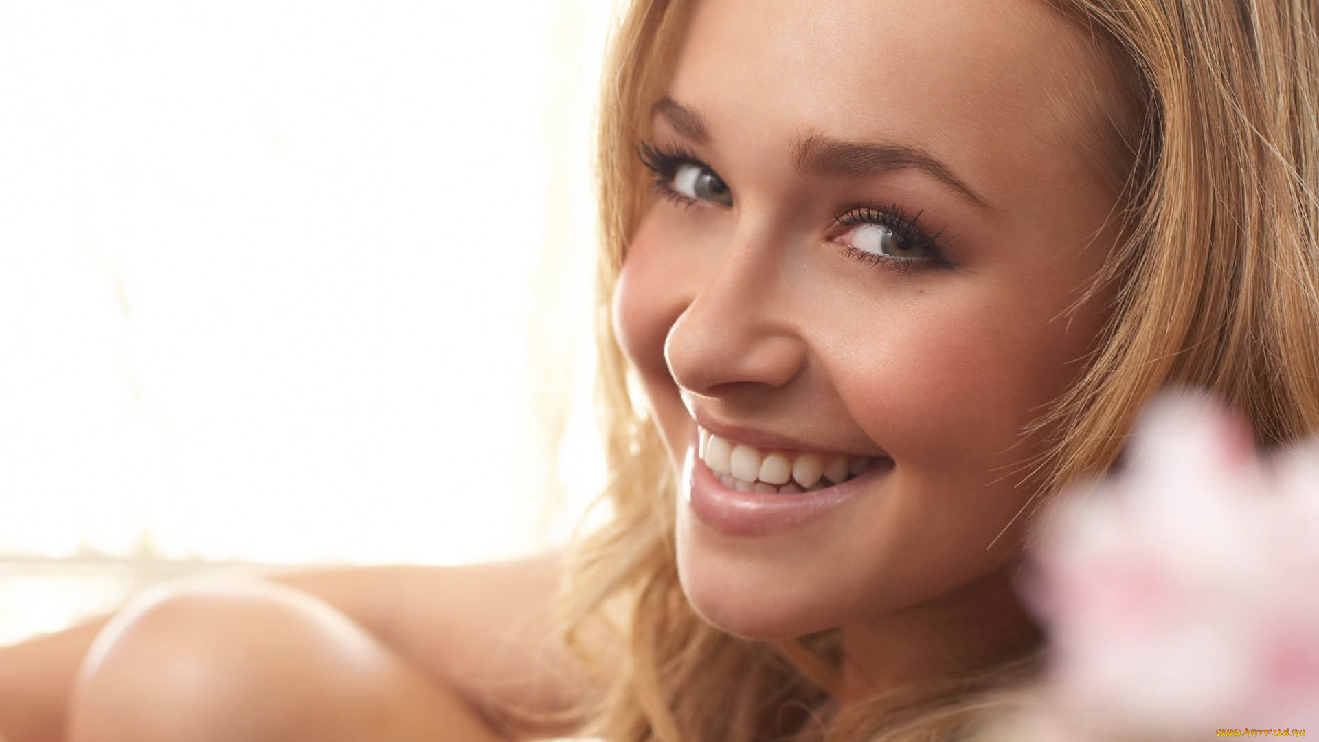 девушки, hayden, panettiere, улыбка, лицо, блондинка