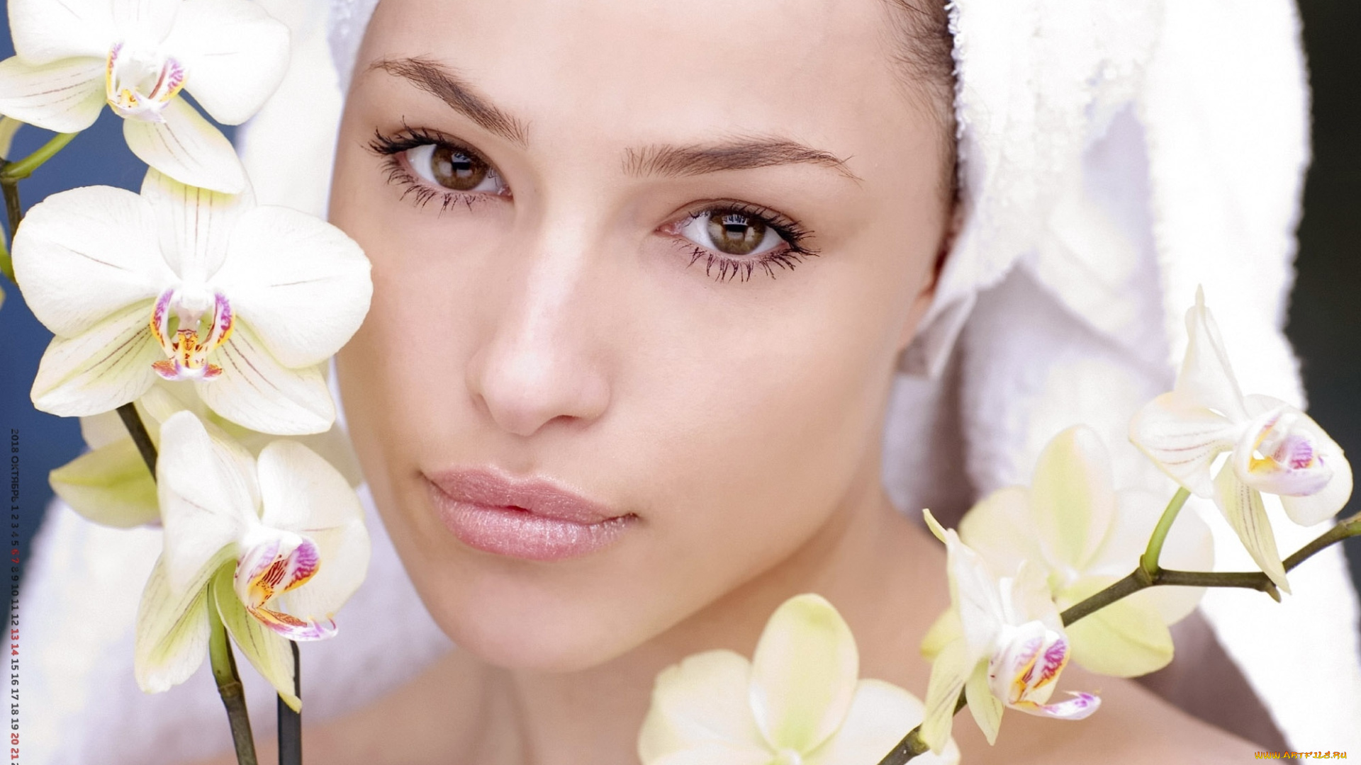 календари, девушки, лицо, цветы, взгляд, женщина