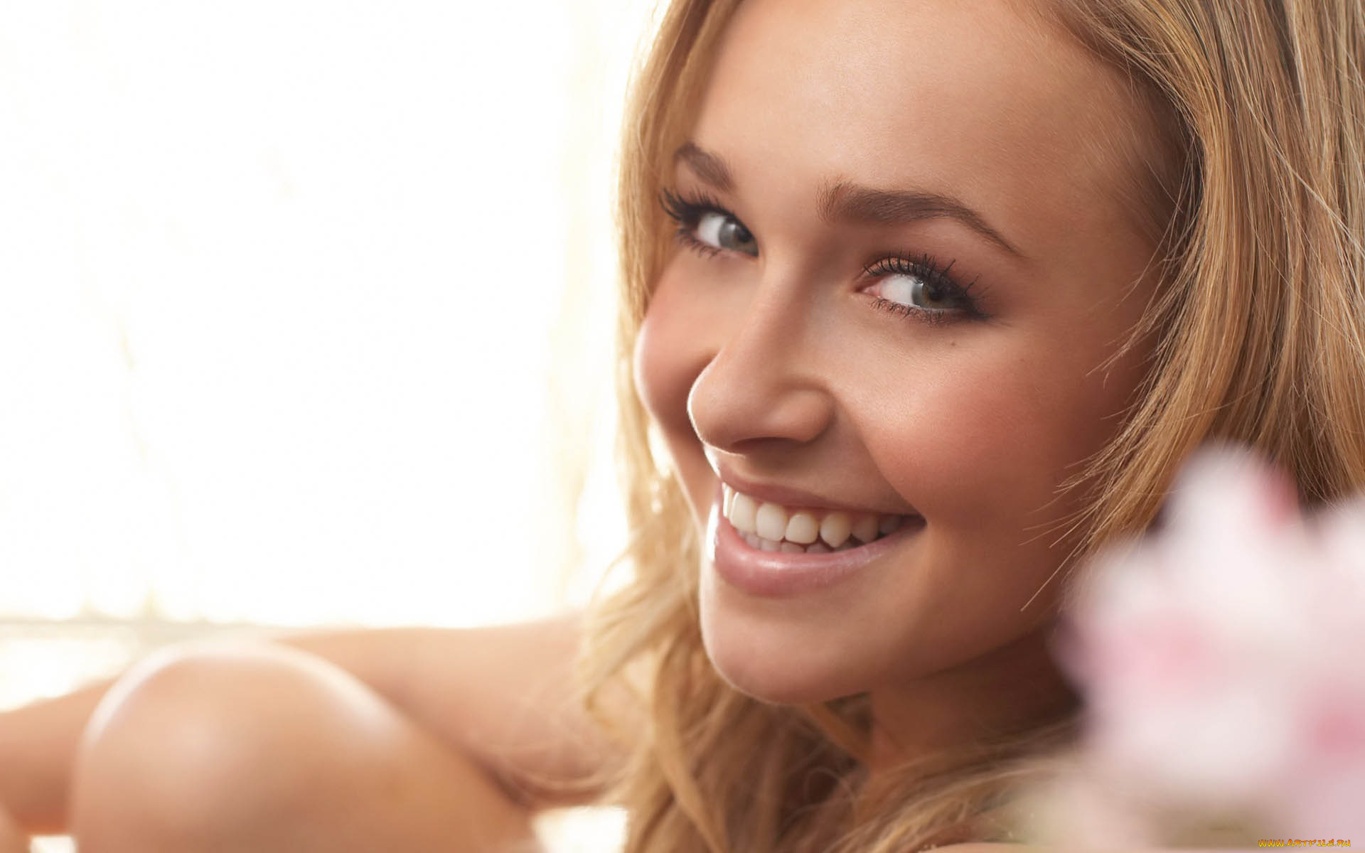девушки, hayden, panettiere, улыбка, лицо, блондинка