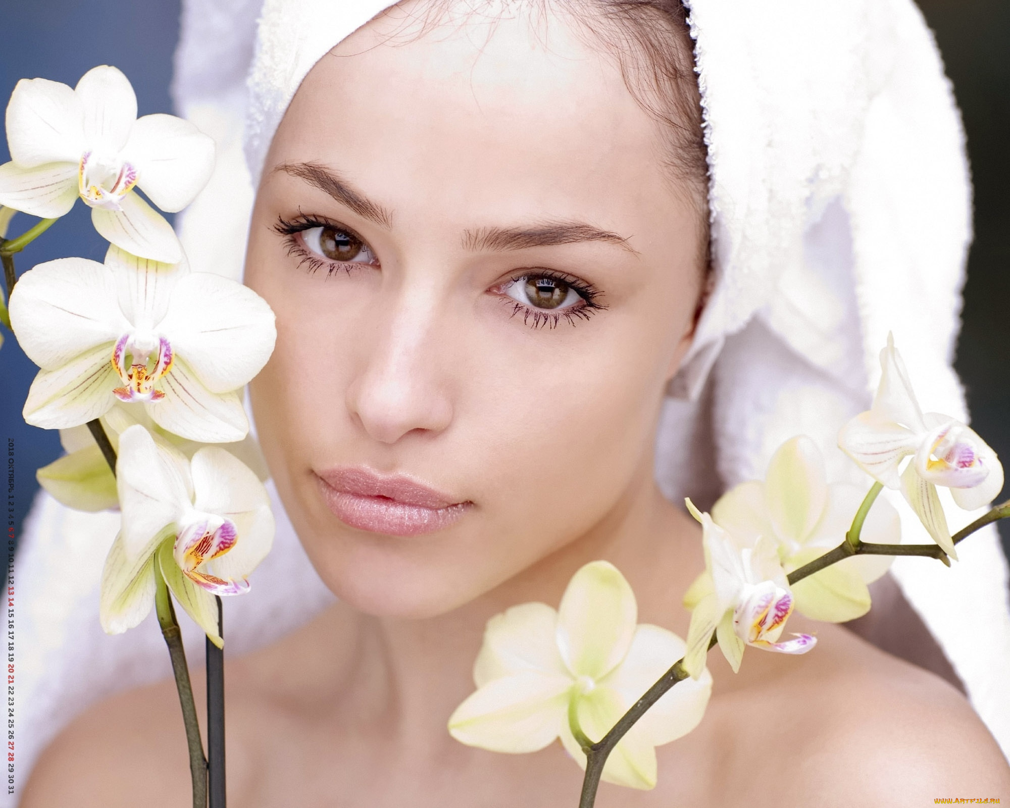 календари, девушки, лицо, цветы, взгляд, женщина