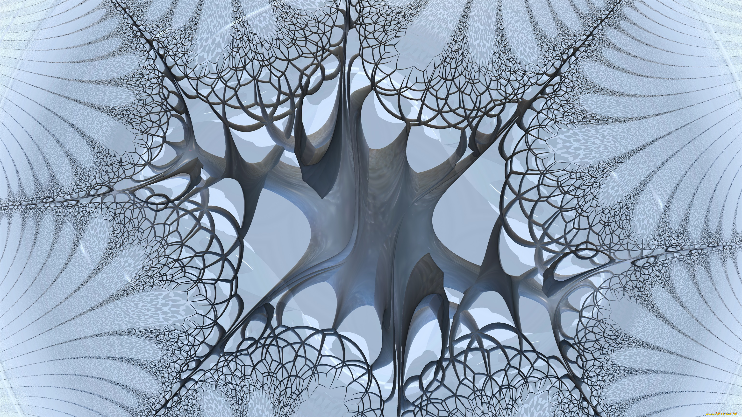 3д, графика, фракталы, , fractal, узор, фон, цвет