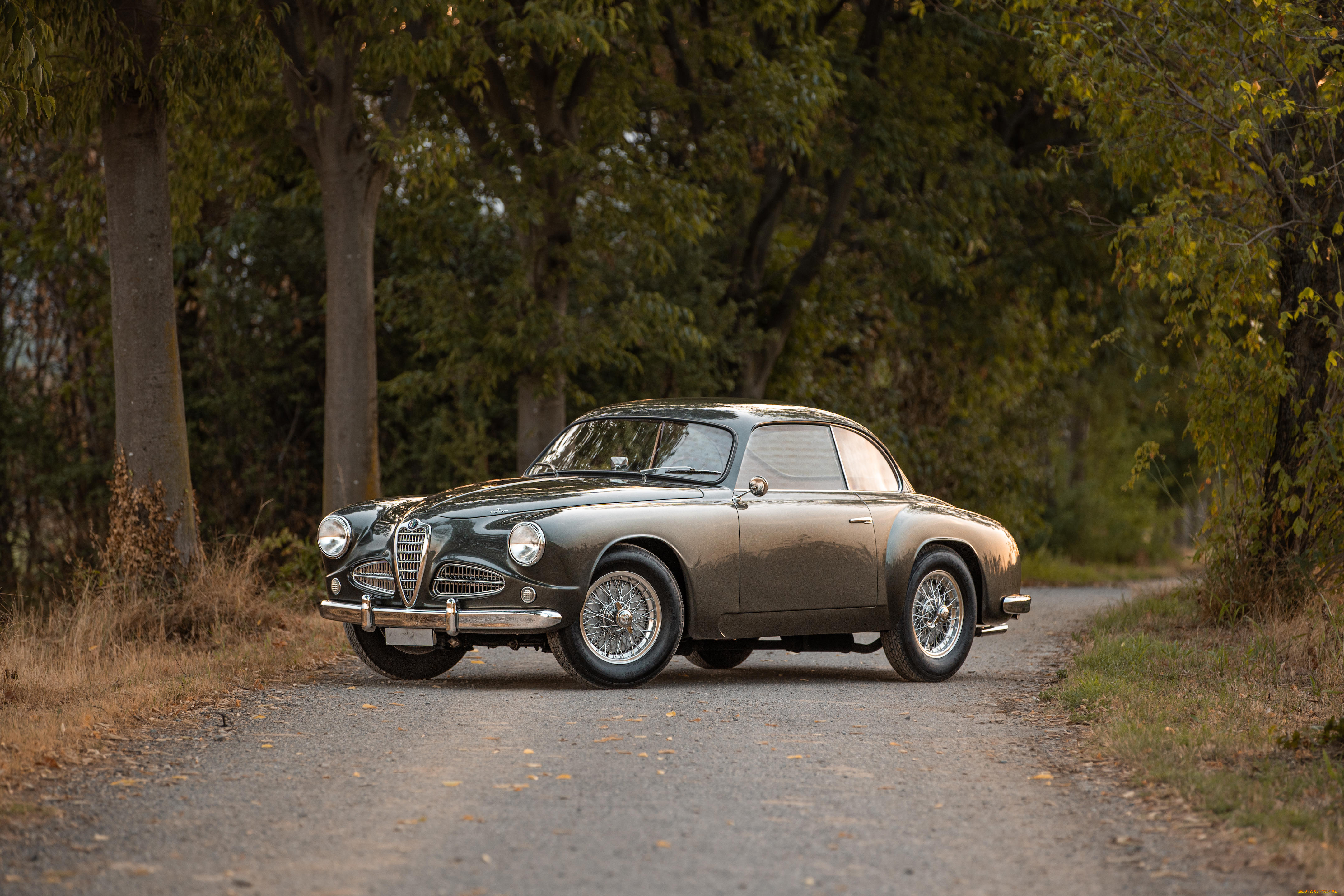 автомобили, alfa, romeo, alfa-romeo