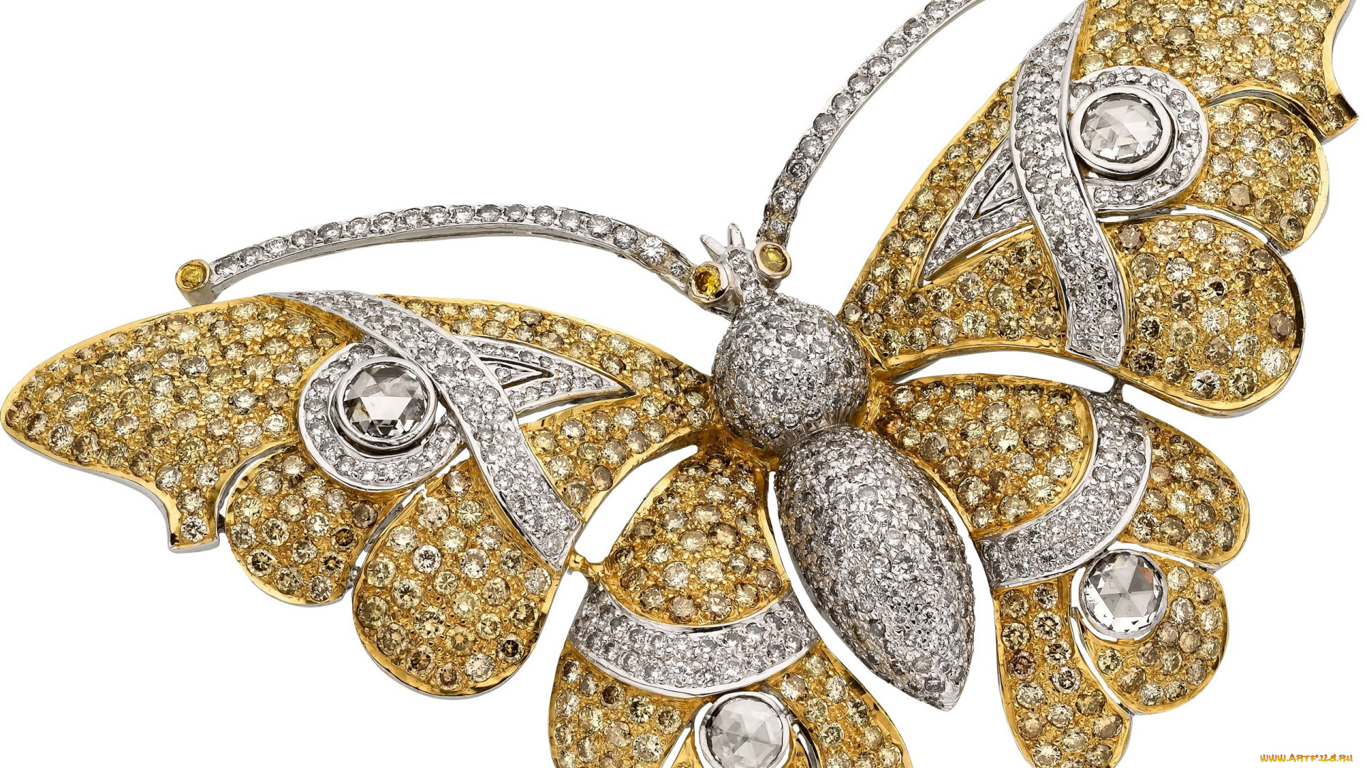 разное, украшения, , аксессуары, , веера, брошь, украшение, бабочка