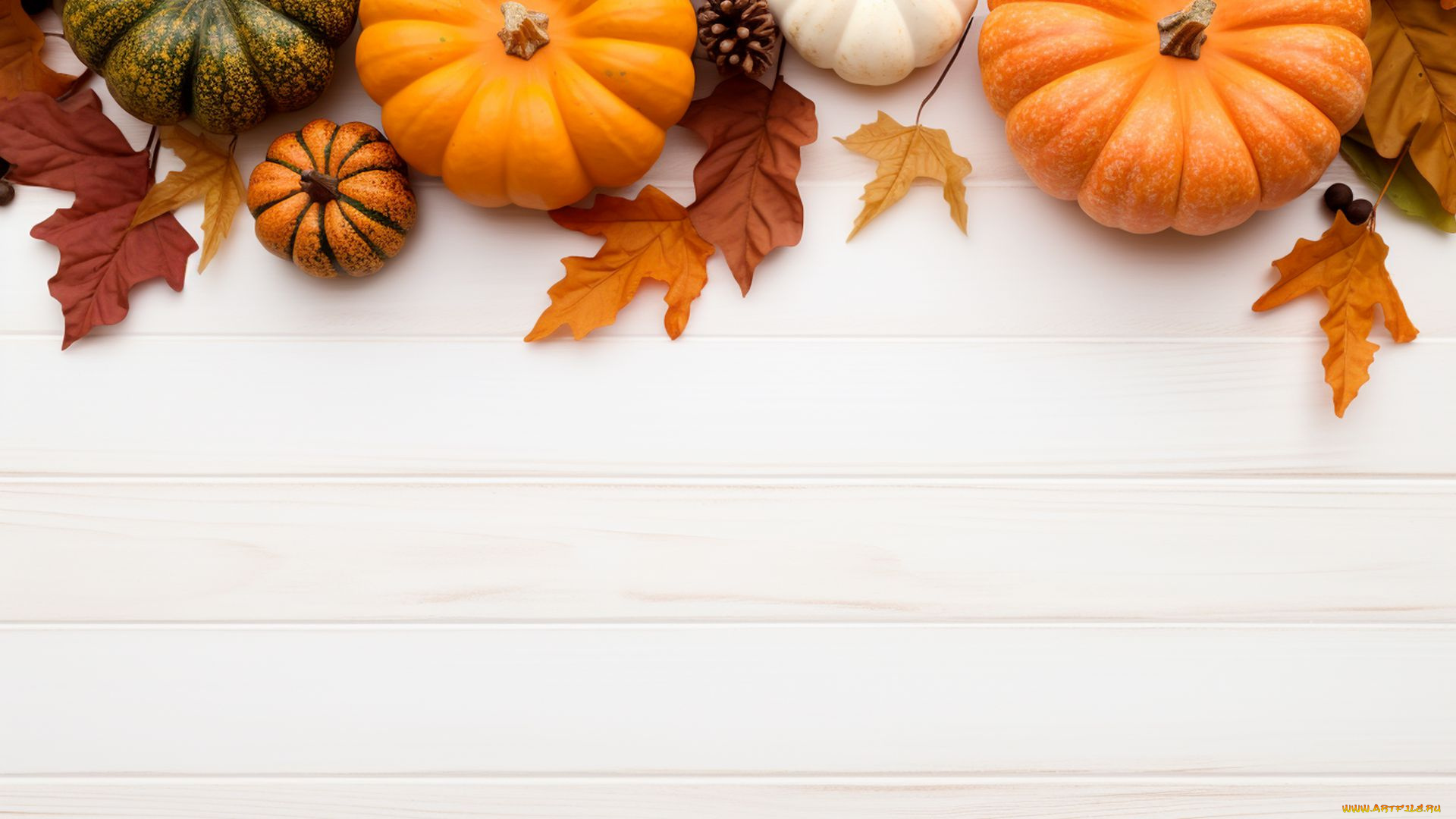 тыква, еда, овощ, фон