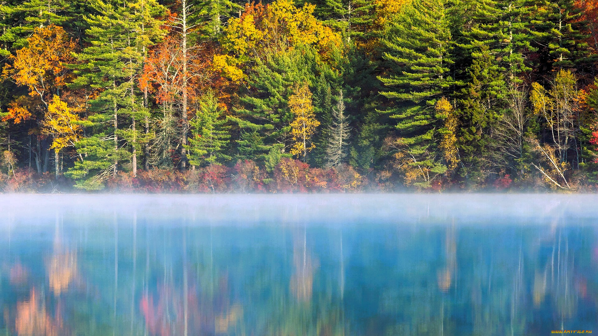 природа, реки, озера, лес, осень, озеро, туман