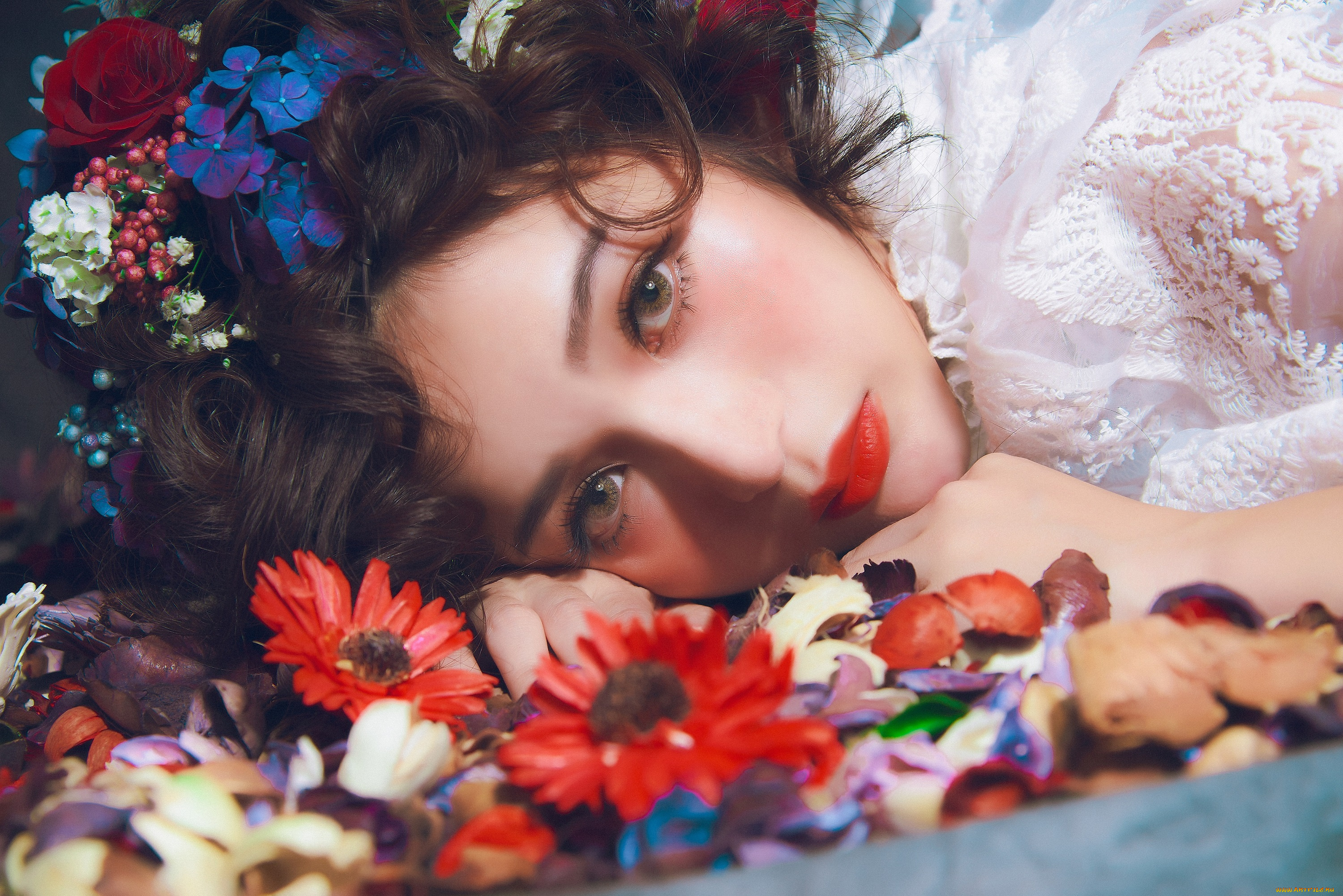 девушки, -, лица, , портреты, девушка