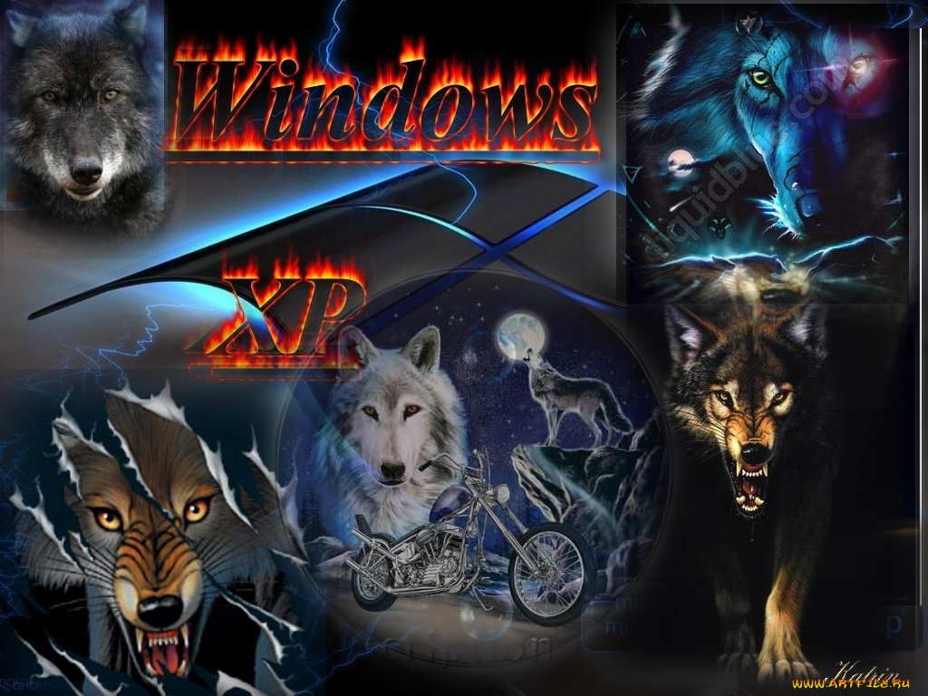 wildlife, компьютеры, windows, xp