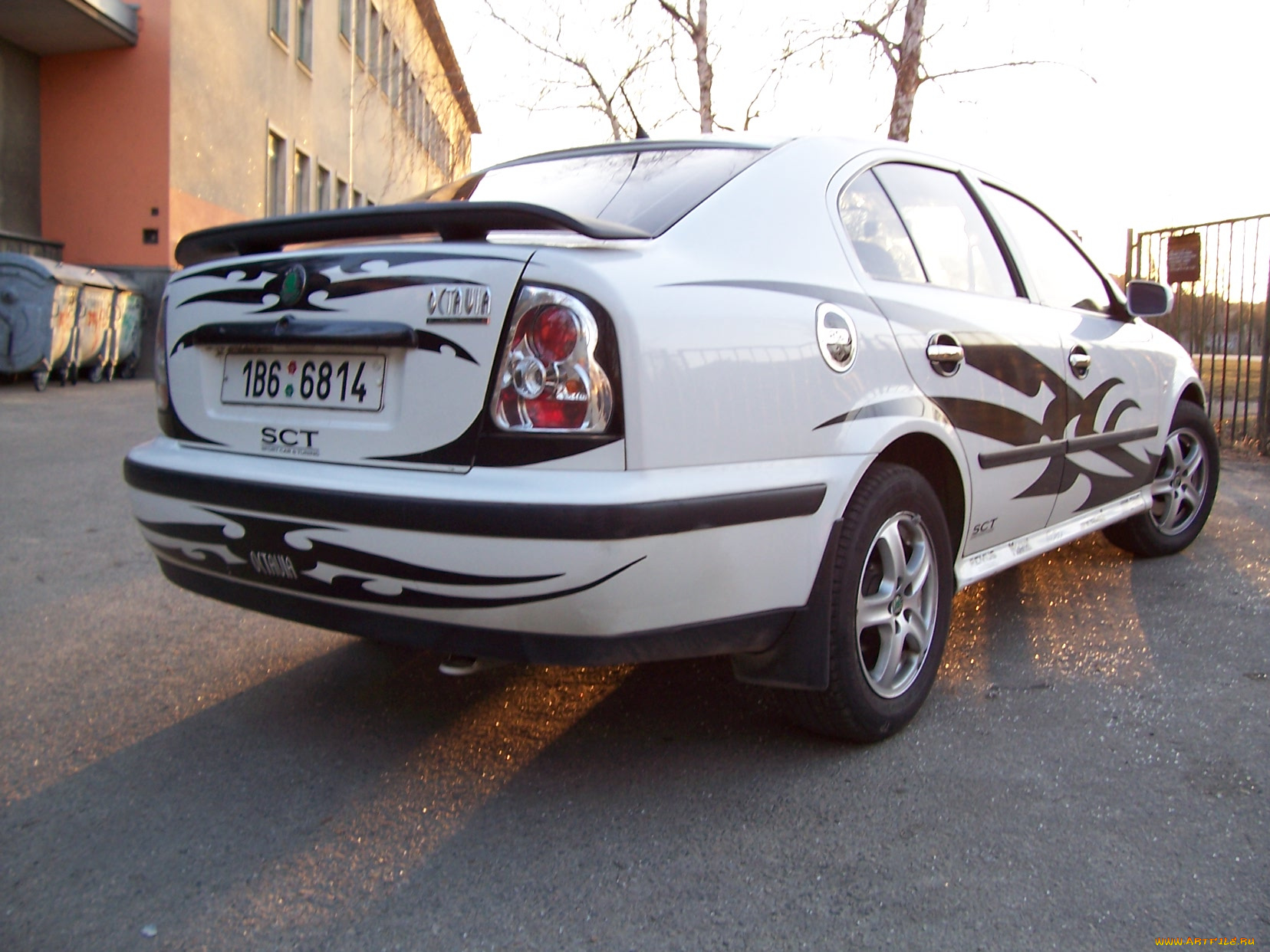 octavia, автомобили, skoda