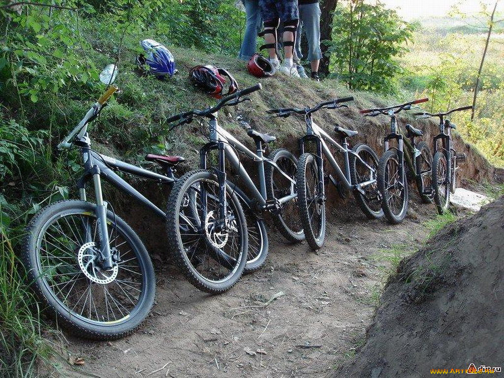 спорт, велоспорт