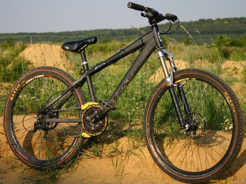 спорт, велоспорт