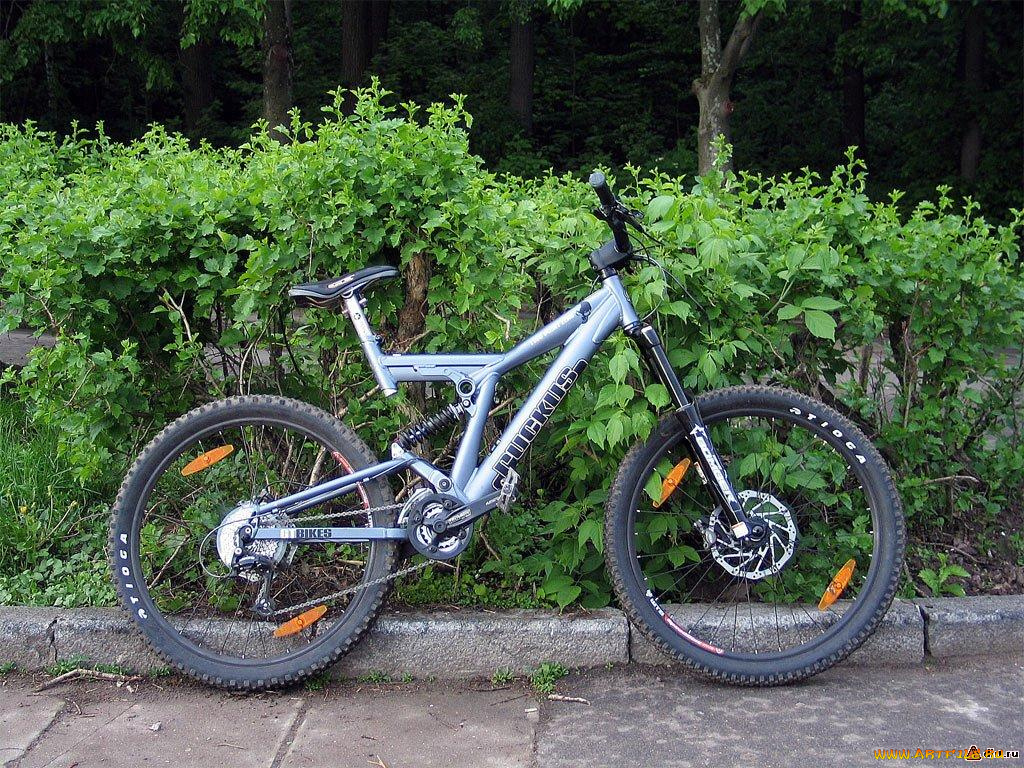 спорт, велоспорт