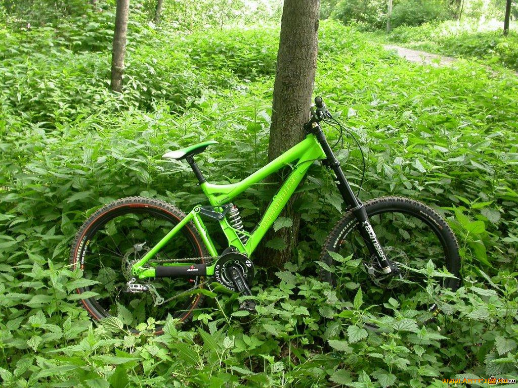 спорт, велоспорт