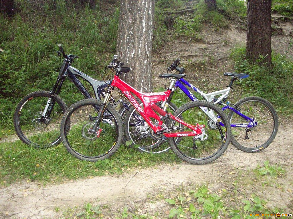 спорт, велоспорт