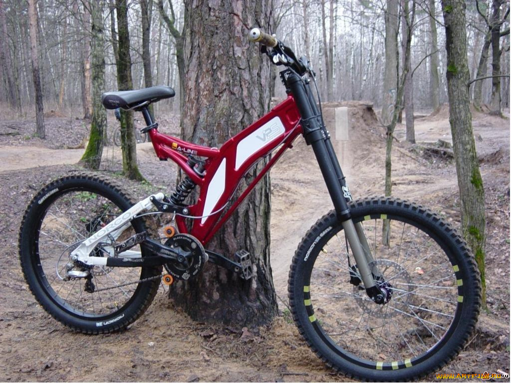 спорт, велоспорт