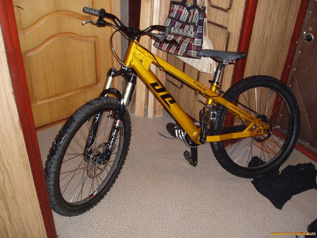 спорт, велоспорт