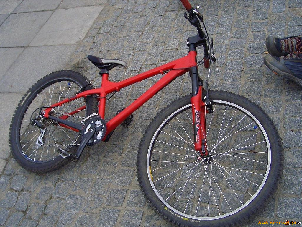 спорт, велоспорт