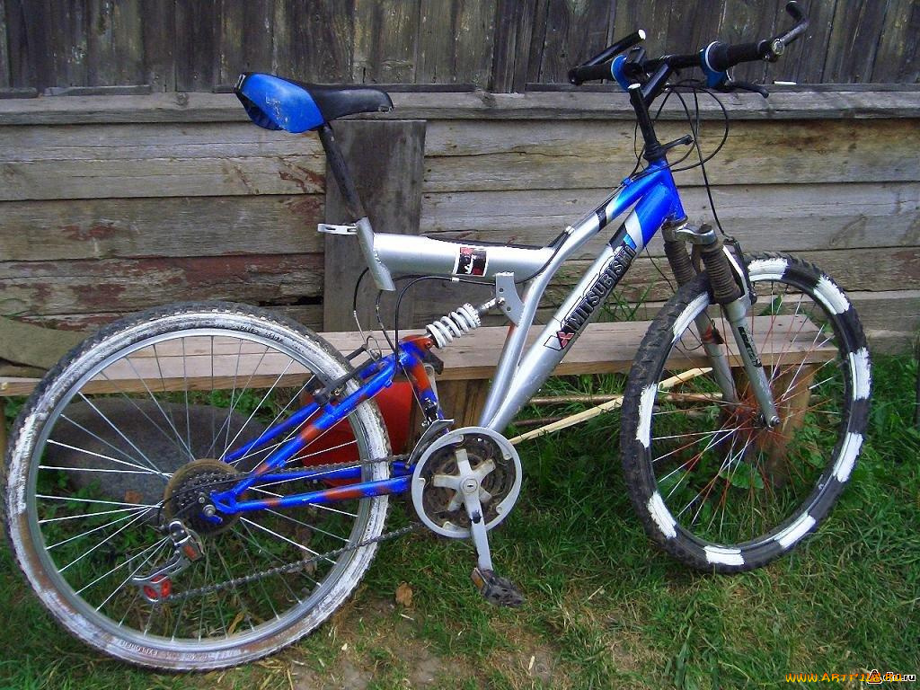 спорт, велоспорт