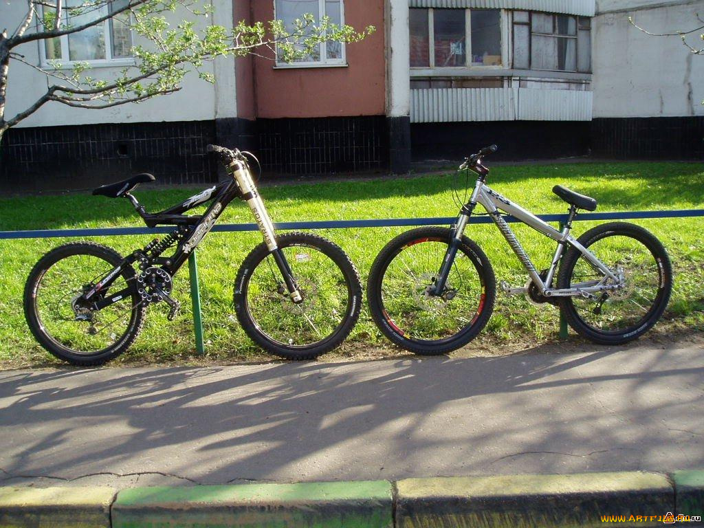 спорт, велоспорт