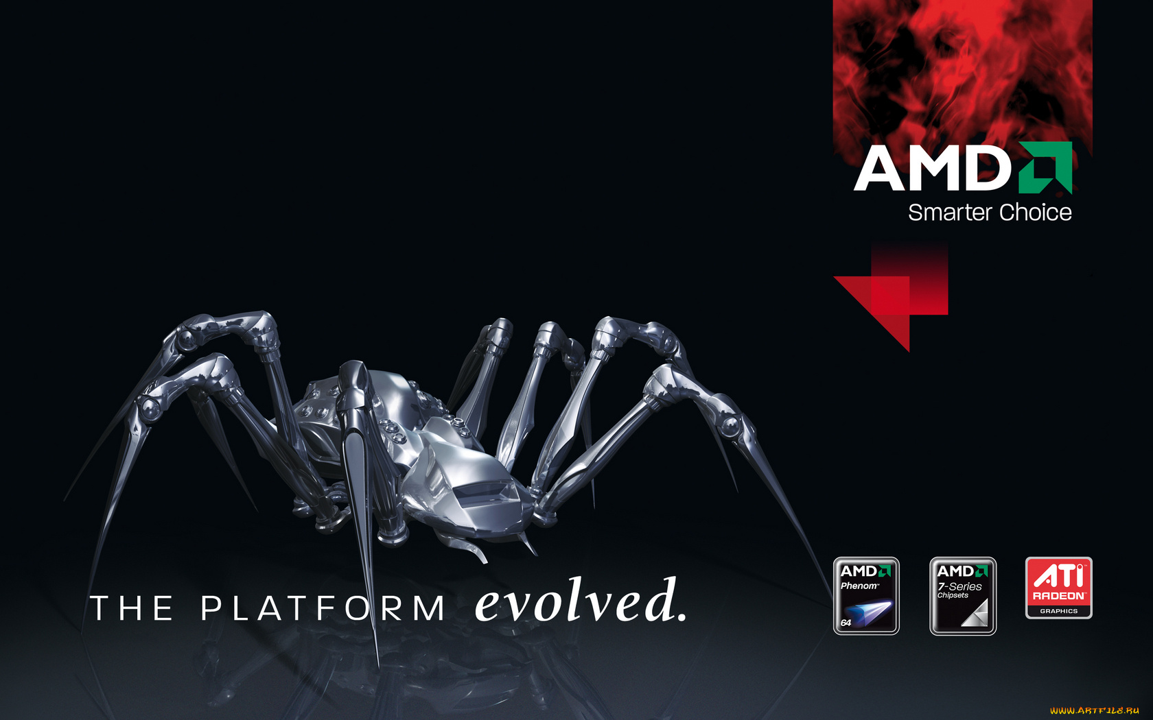 компьютеры, amd