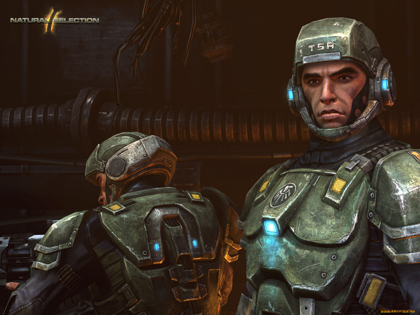 natural, selection, видео, игры