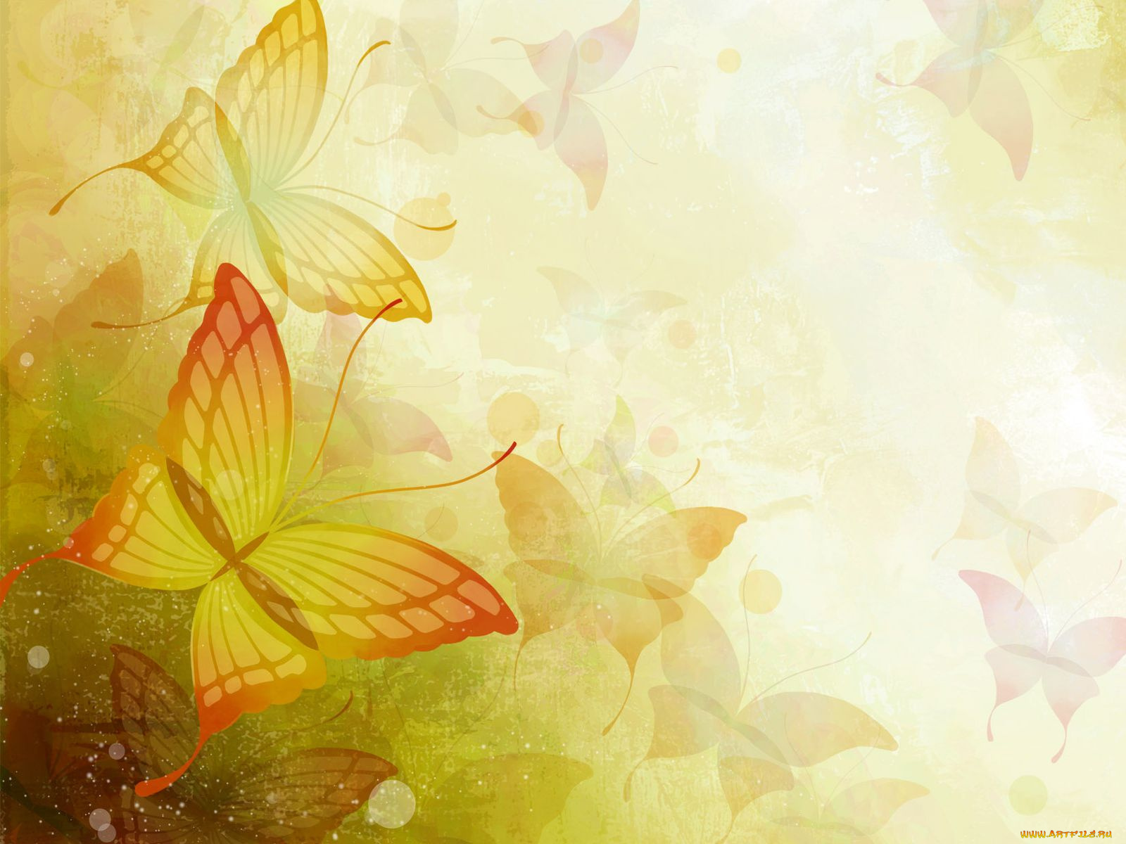 векторная, графика