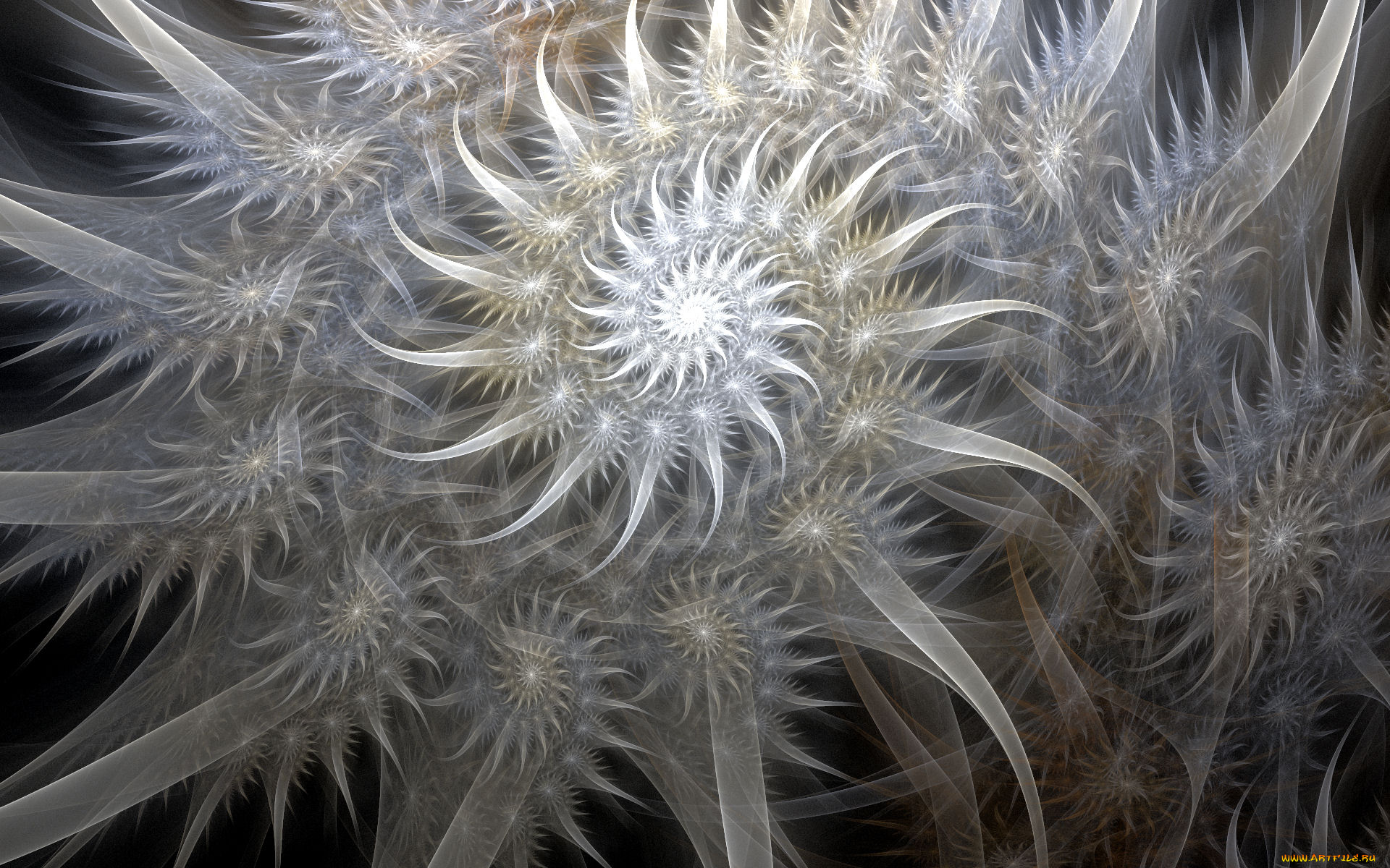 3д, графика, fractal, фракталы