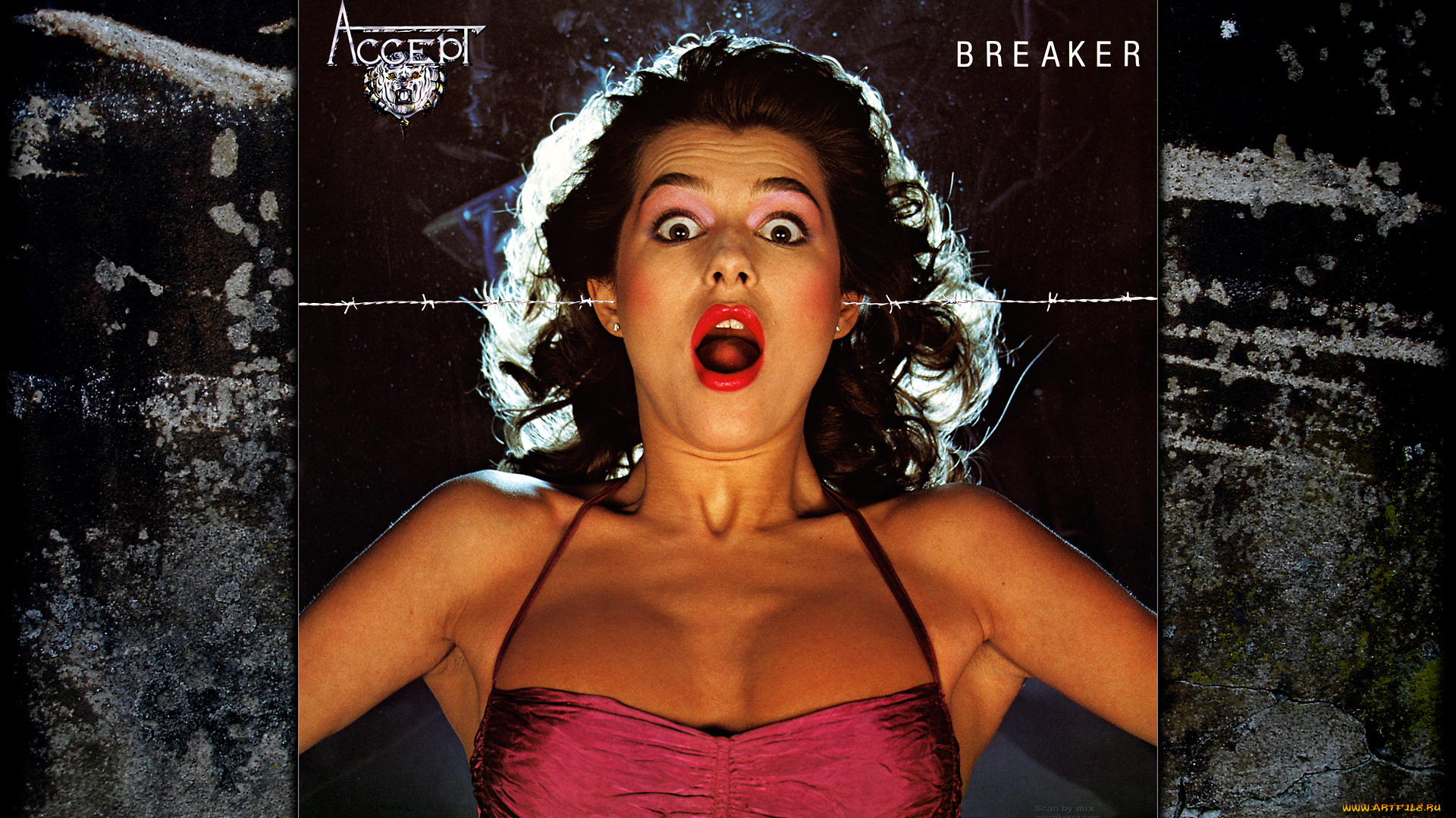 accept, музыка, спид-метал, пауэр-метал, германия, хэви-метал