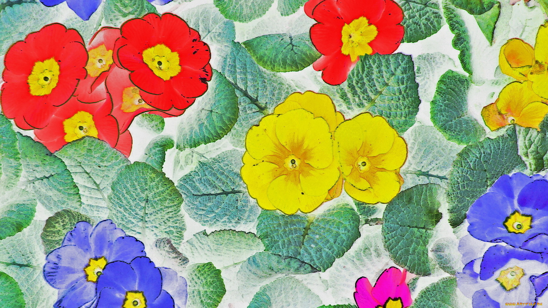 рисованные, цветы, лепестки, цвета