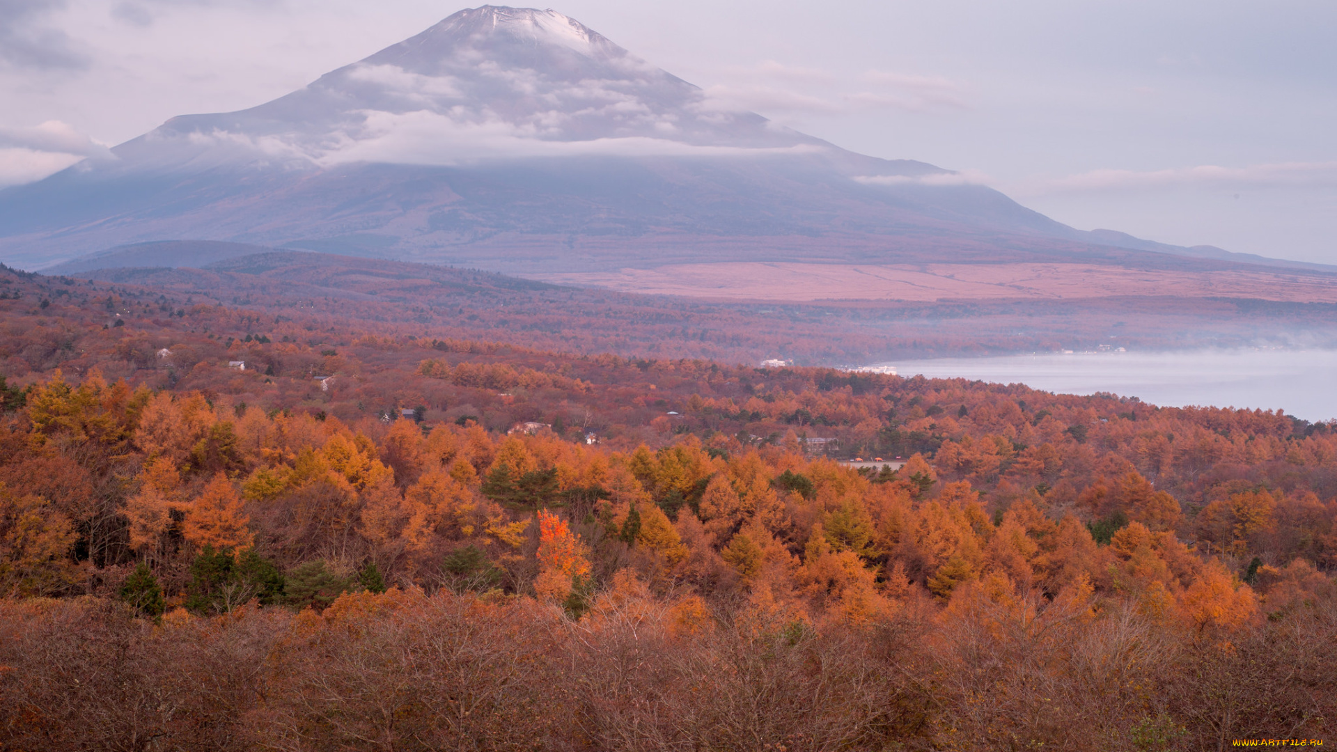 природа, горы, осень, гора, лес
