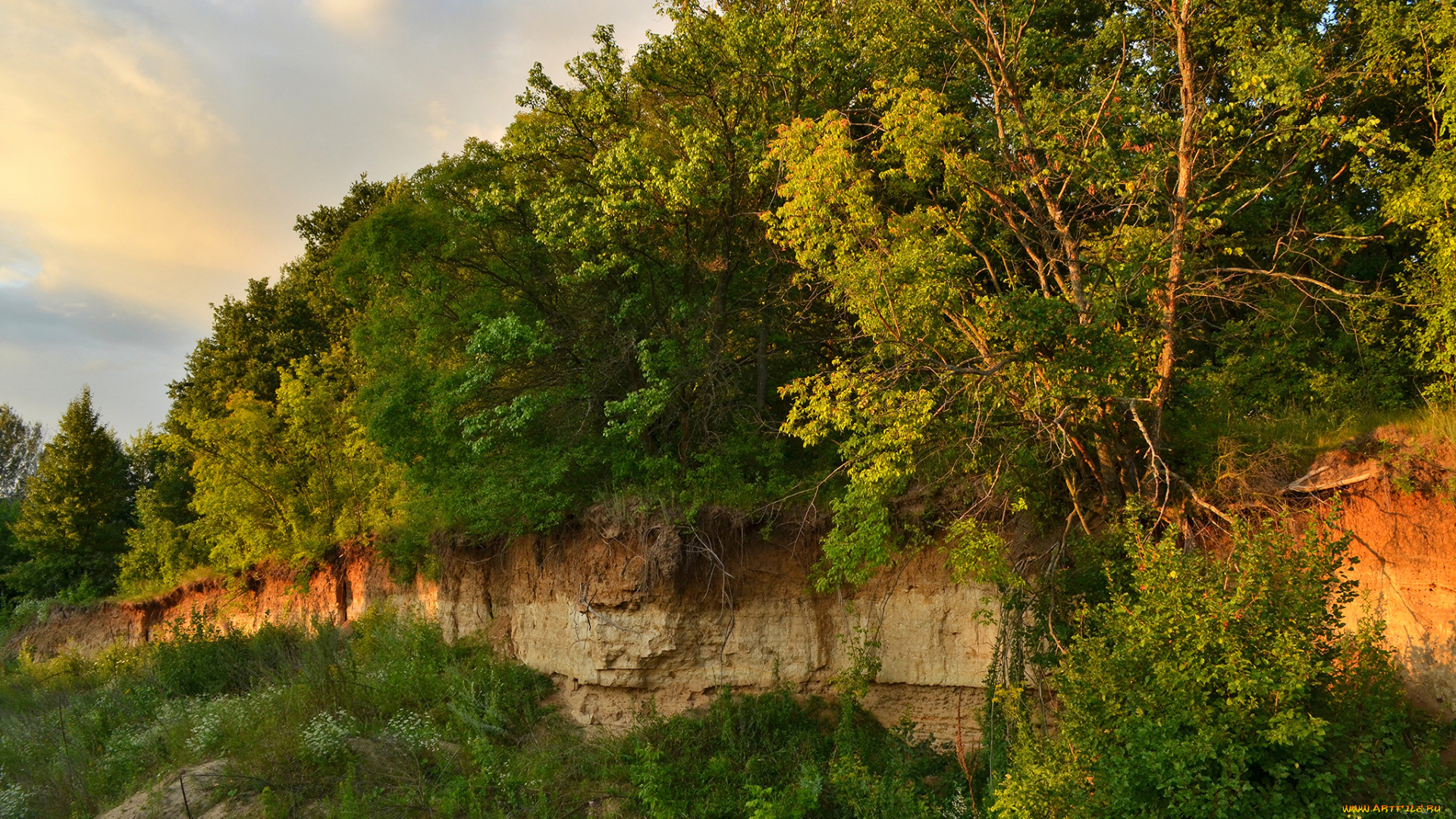 природа, лес, обрыв