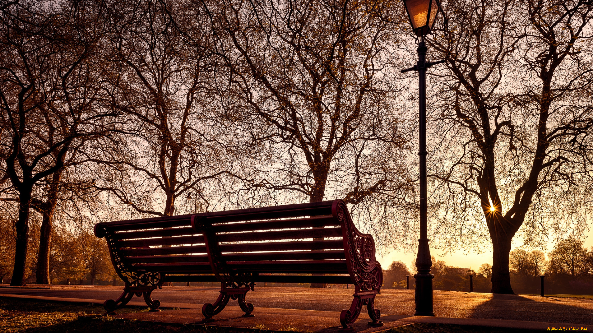 природа, парк, скамейка, фонарь