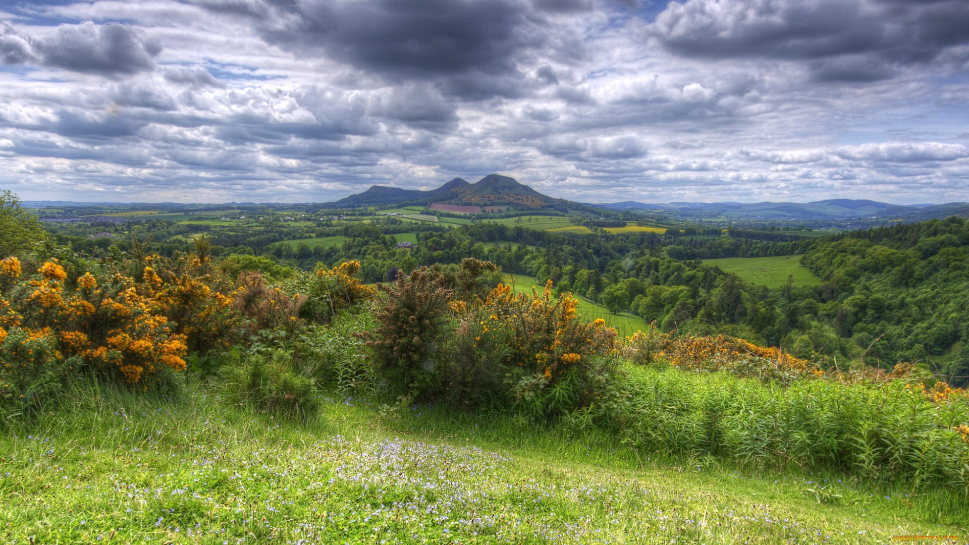 природа, пейзажи, простор, равнина