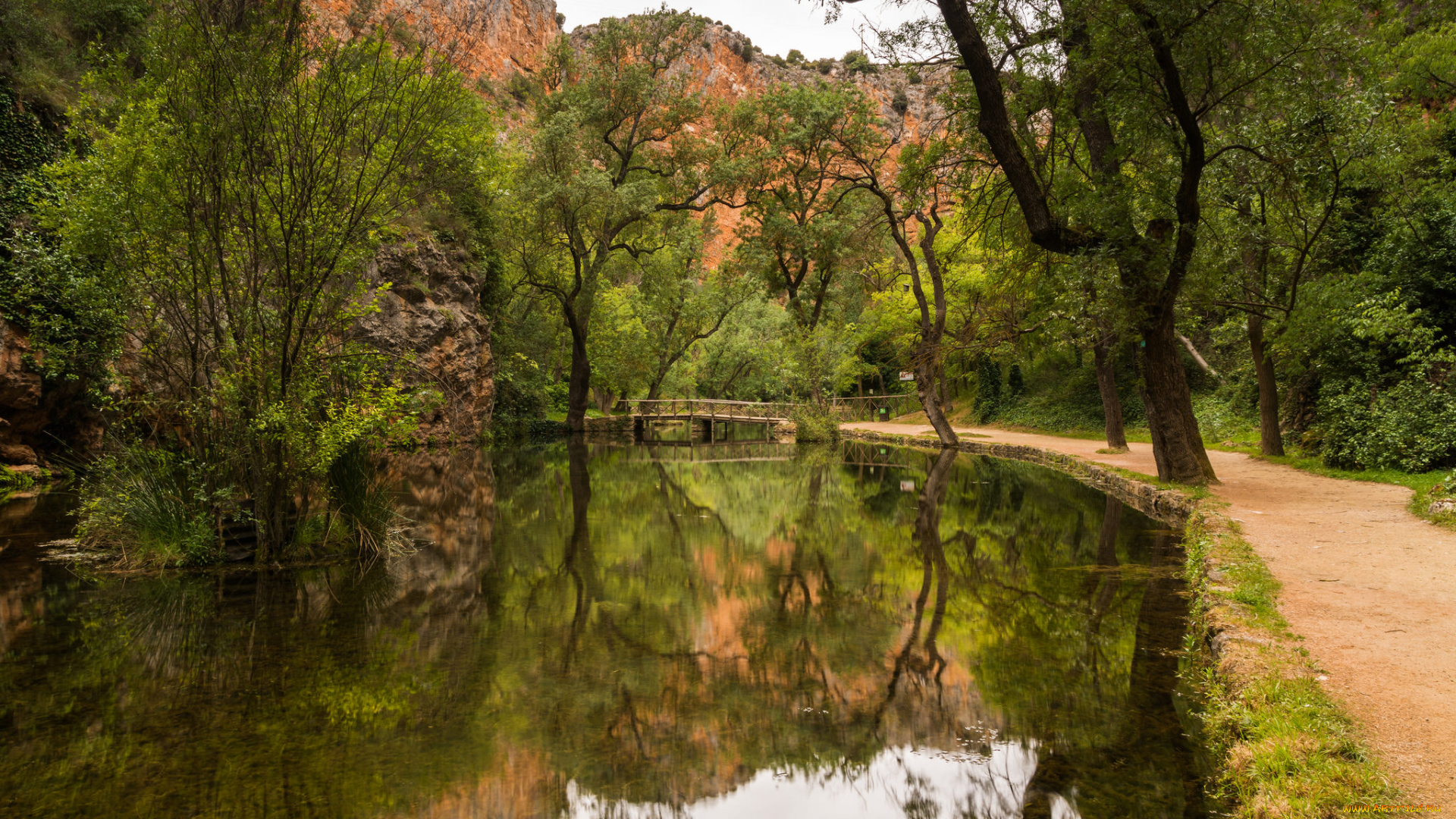 природа, реки, озера, лес, река